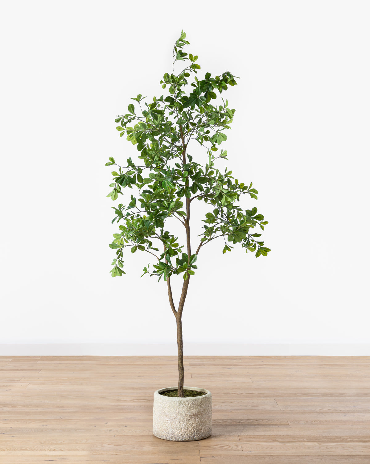 Lush Shady Lady Faux Tree  Ceramic Pot with Green Leaves