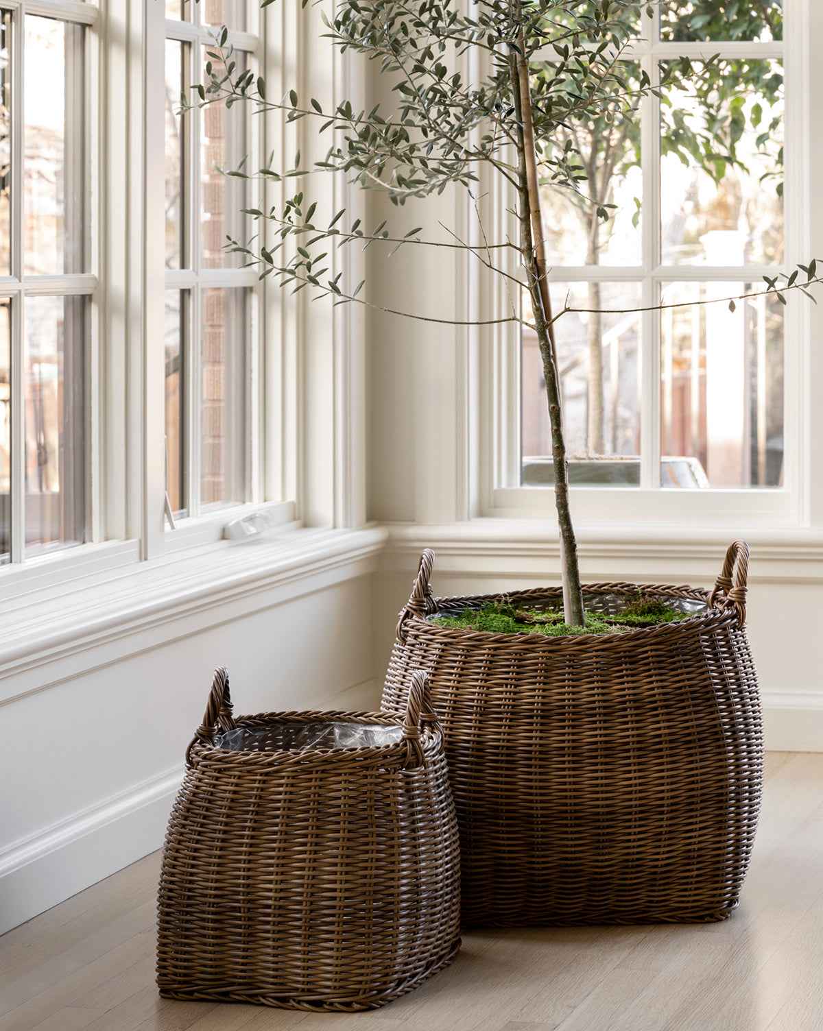 Bela Handled Planter Basket  Intricately Woven Poly-Rattan