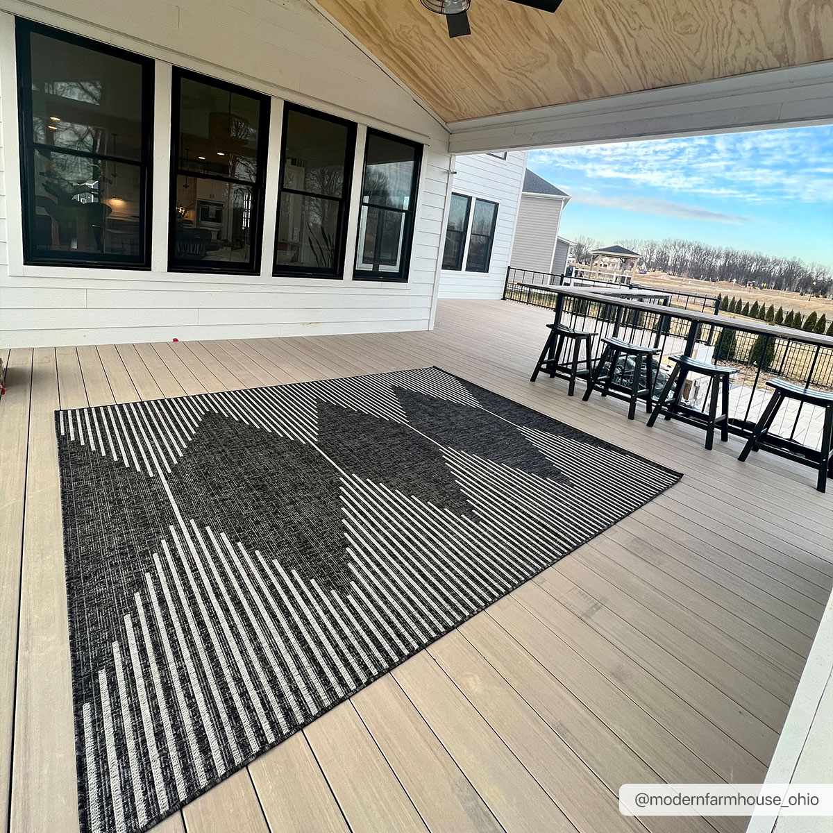 Sierra Outdoor Area Rug  Machine Woven, Easy to Clean