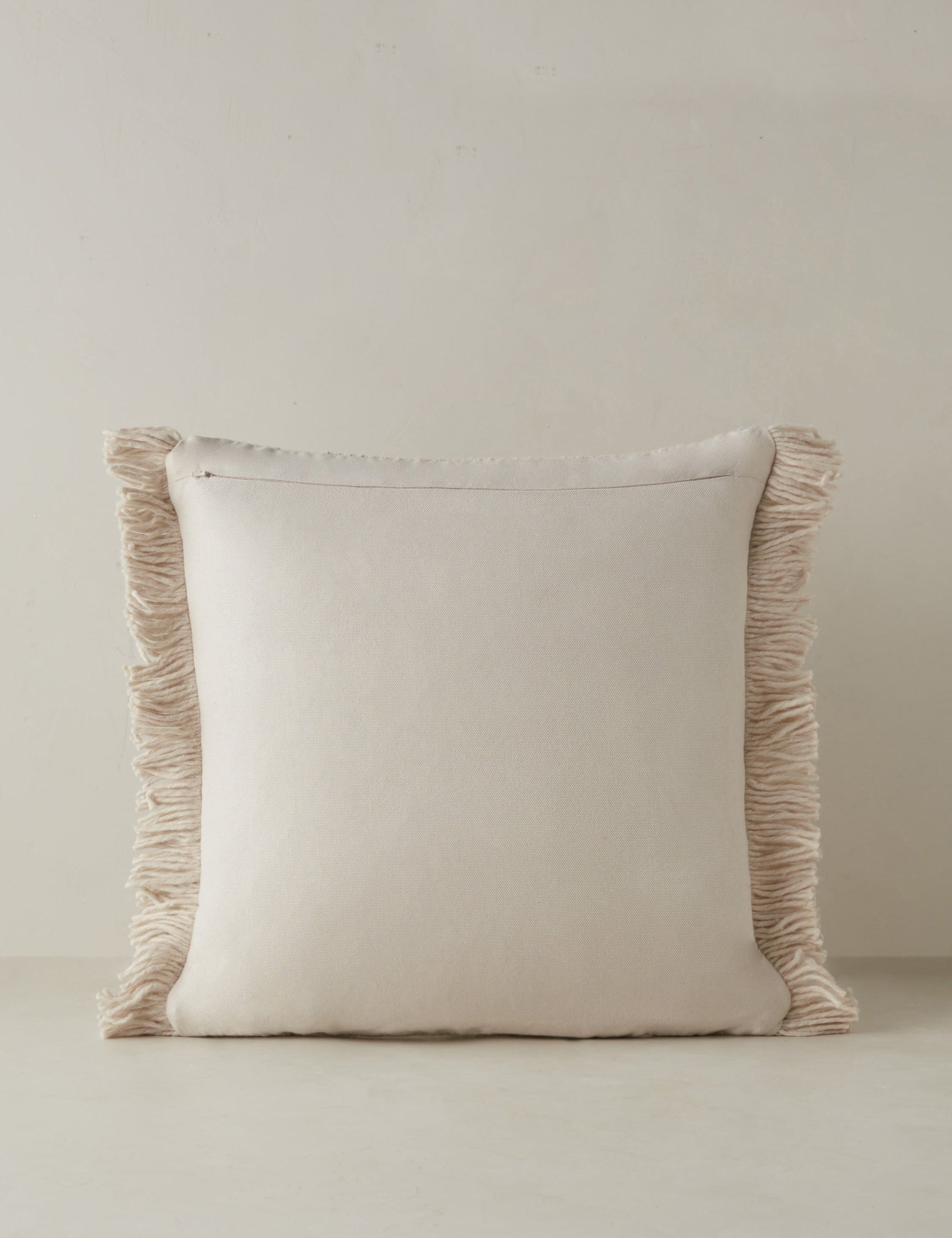 Talon Indoor/Outdoor Pillow | Chunky Fibers, Generous Fringe