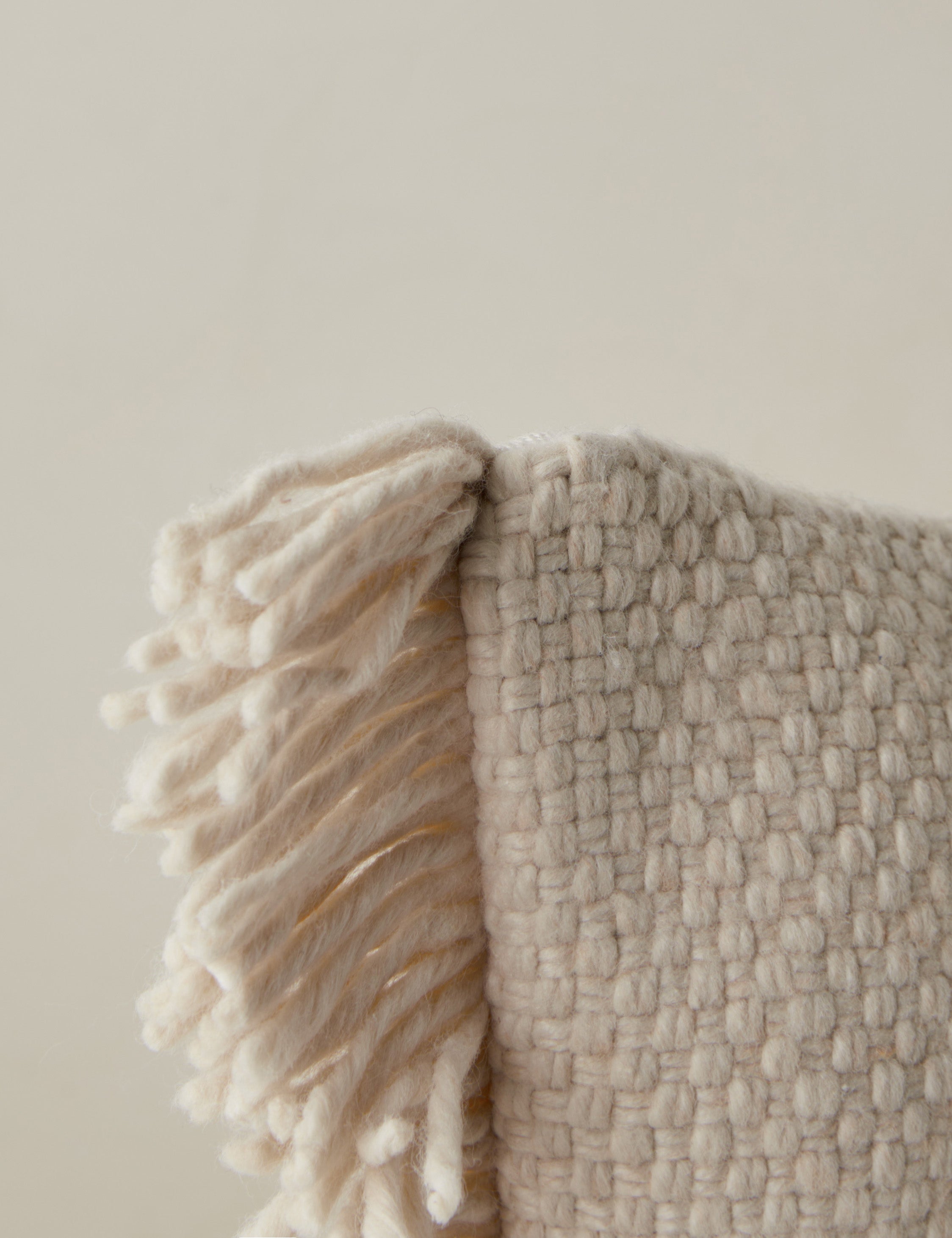 Talon Indoor/Outdoor Pillow | Chunky Fibers, Generous Fringe