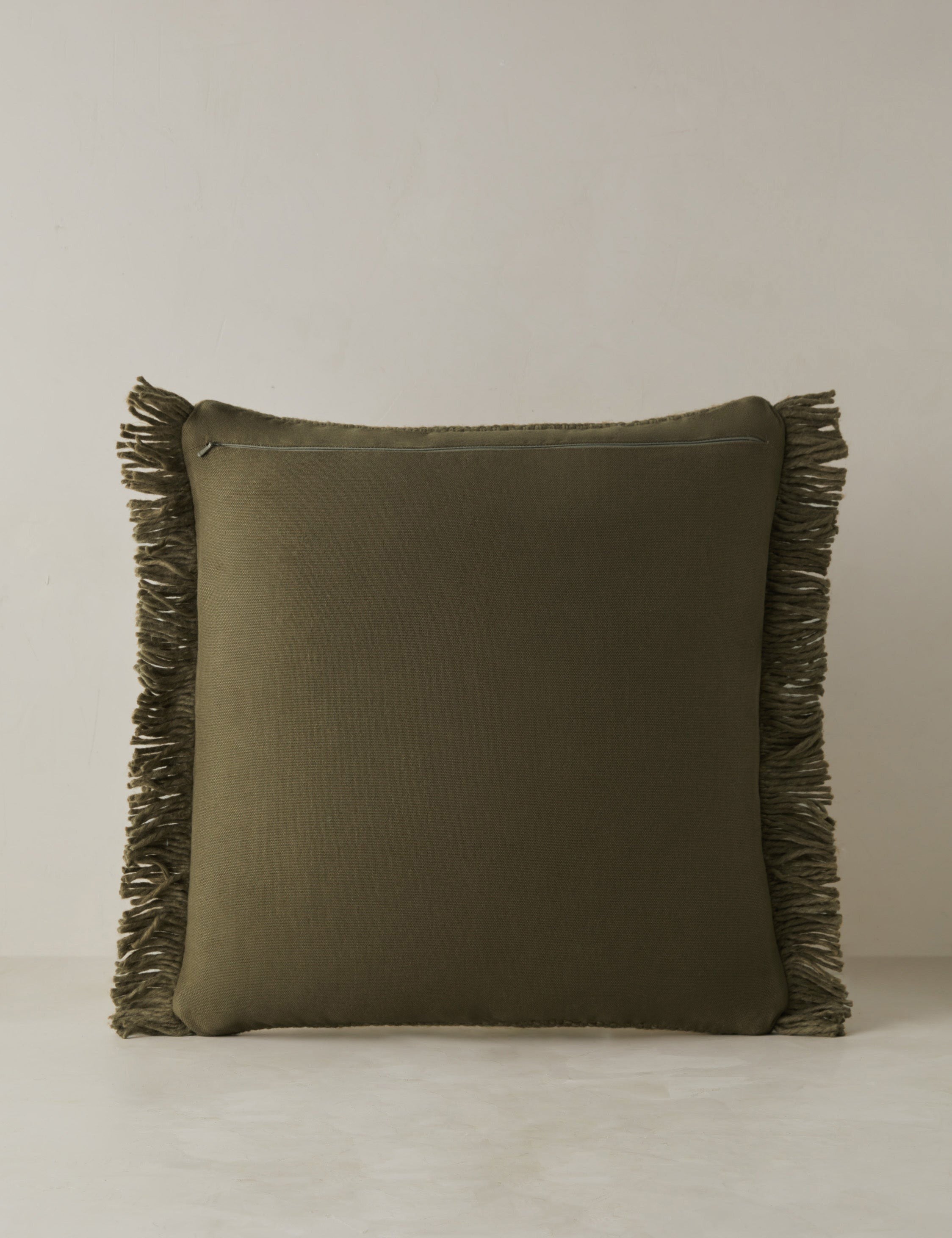Talon Indoor/Outdoor Pillow | Chunky Fibers, Generous Fringe