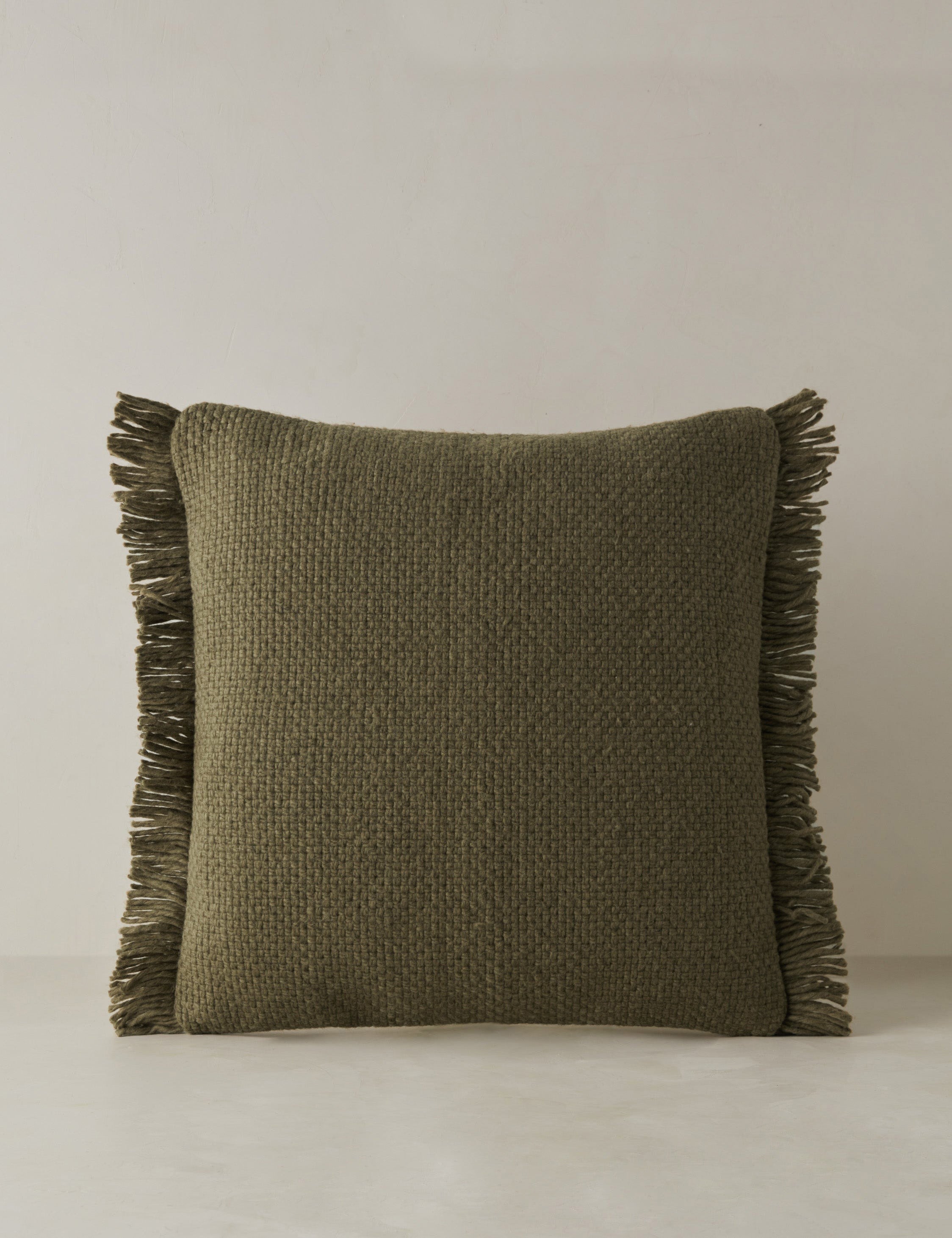 Talon Indoor/Outdoor Pillow | Chunky Fibers, Generous Fringe