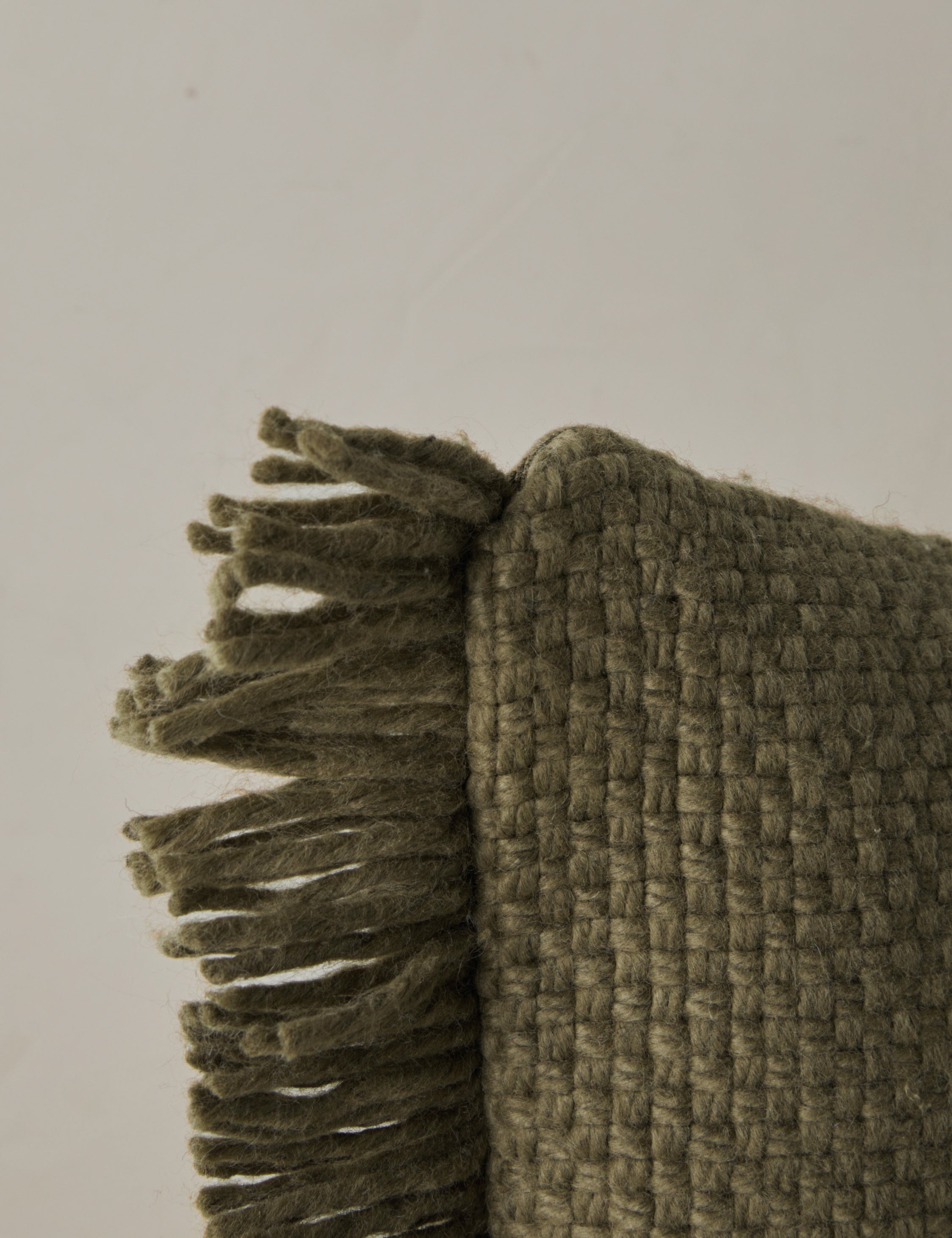 Talon Indoor/Outdoor Pillow | Chunky Fibers, Generous Fringe