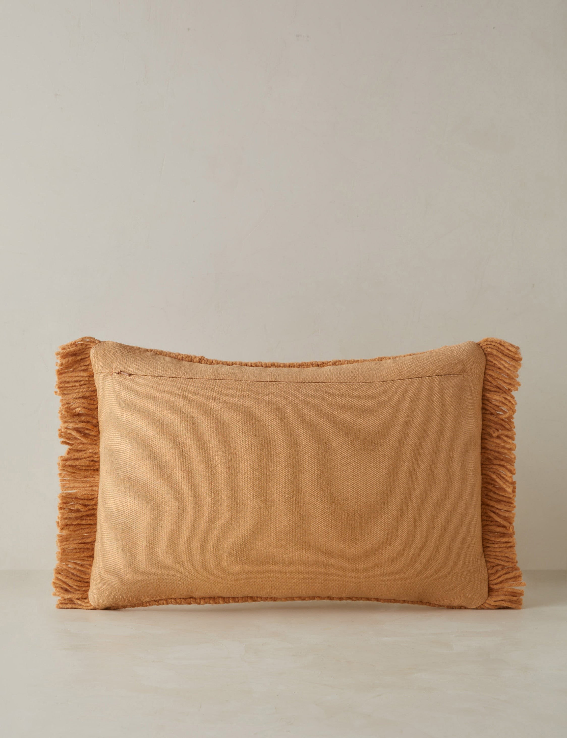 Talon Indoor/Outdoor Pillow | Chunky Fibers, Generous Fringe