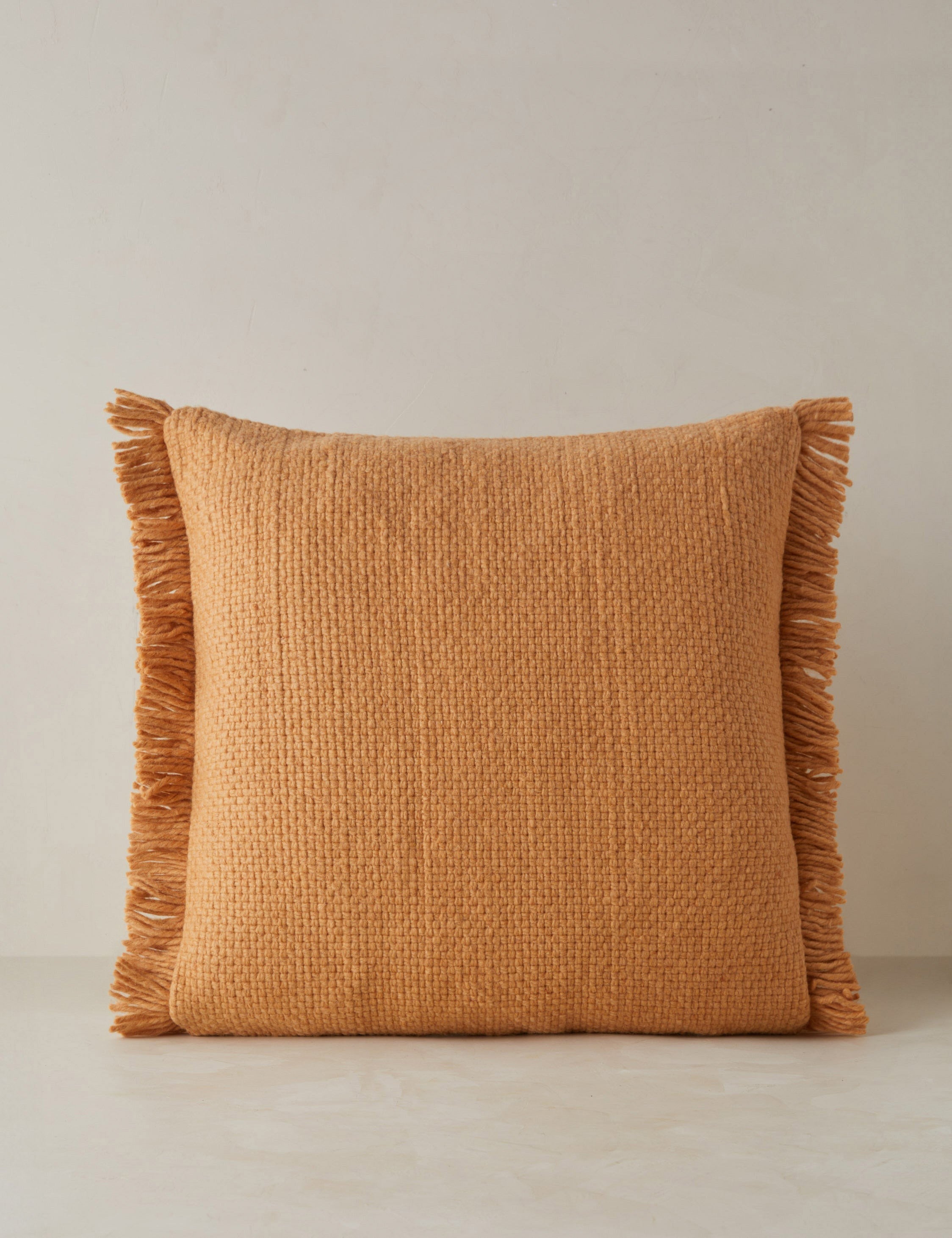 Talon Indoor/Outdoor Pillow | Chunky Fibers, Generous Fringe
