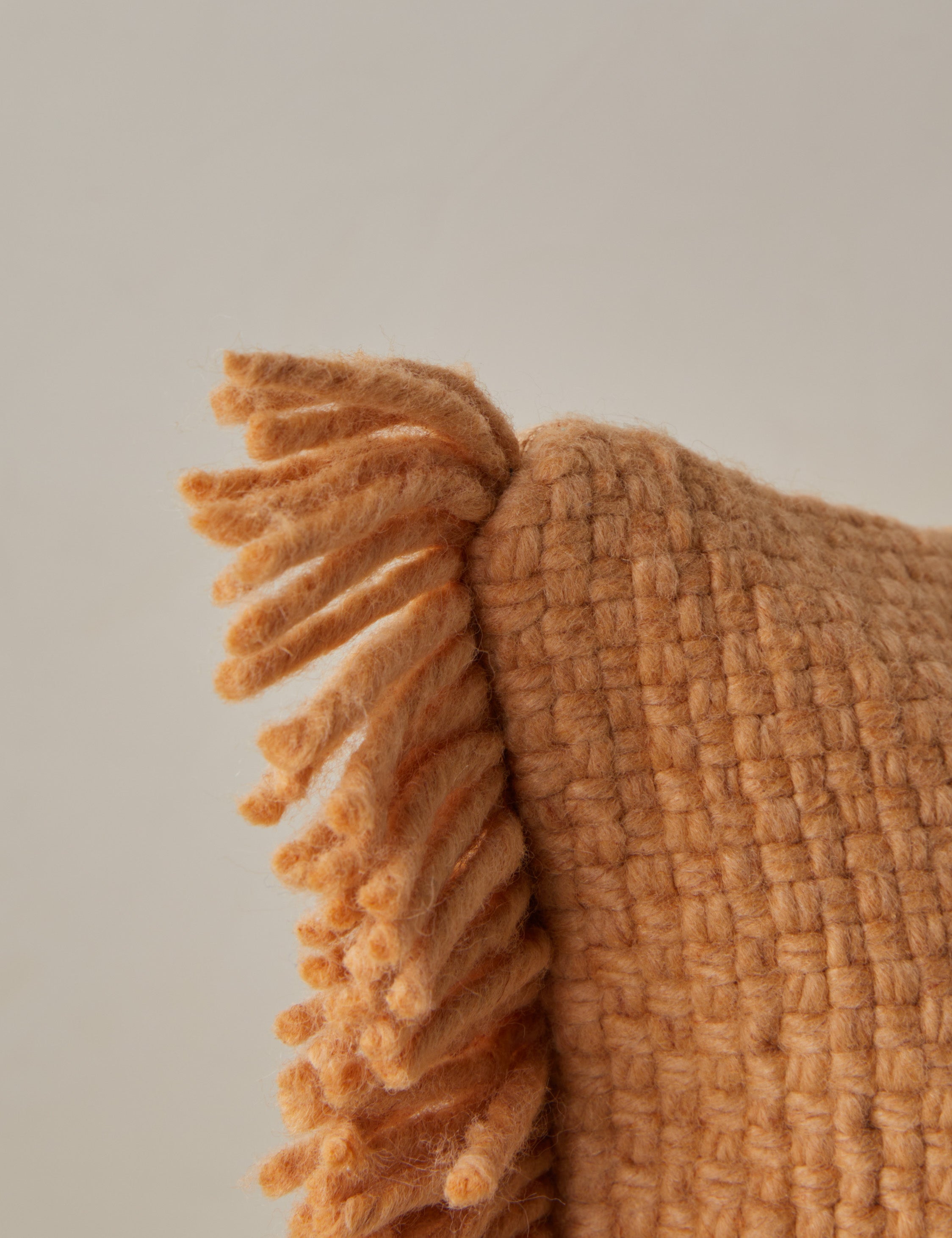 Talon Indoor/Outdoor Pillow | Chunky Fibers, Generous Fringe