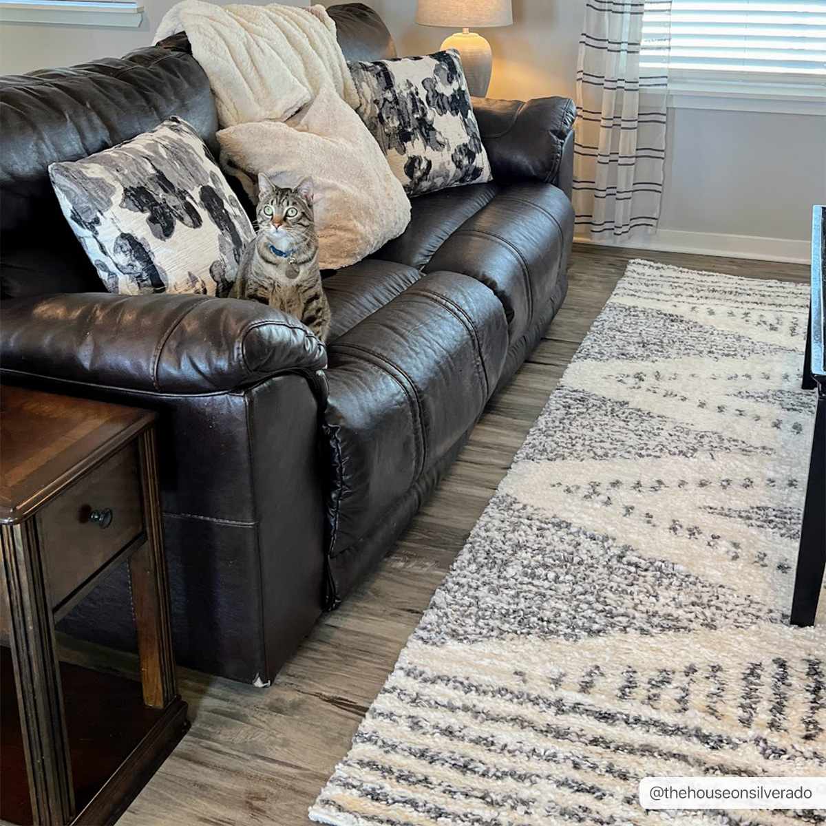 Trundo Plush Area Rug  Machine Woven  Transitional Bohemian