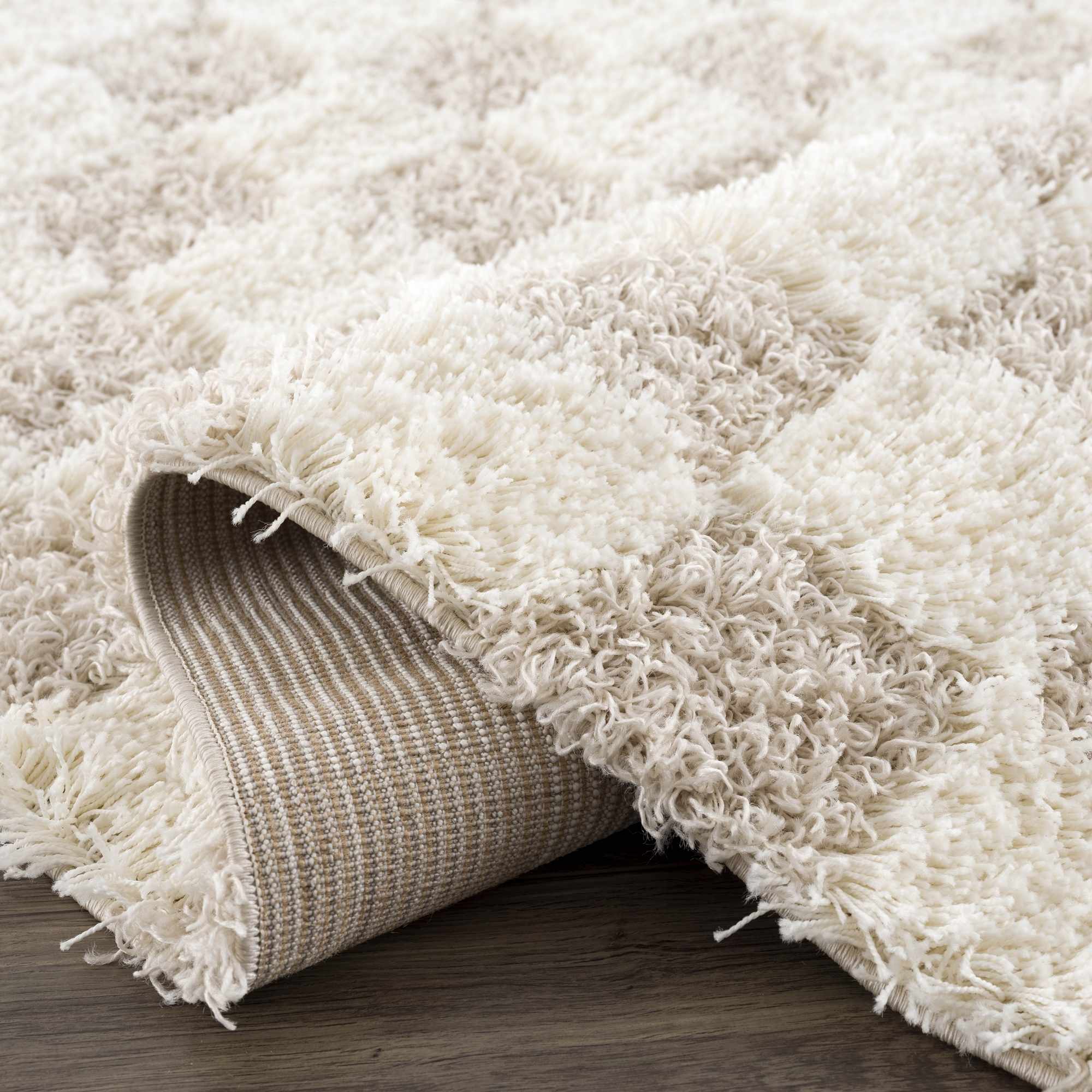 Atira Checkered Area Rug  Plush Polypropylene, Contemporary Design