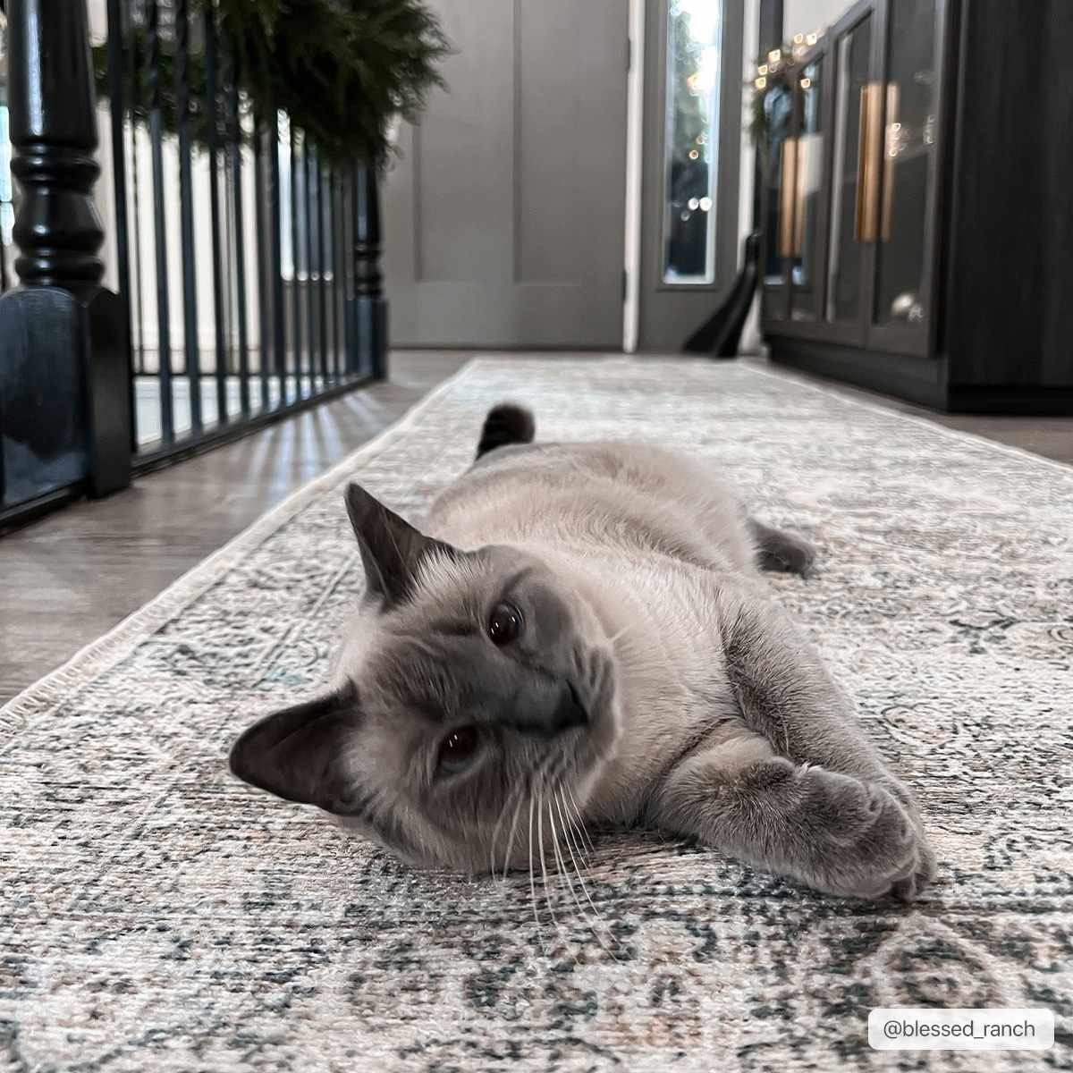 Olivio Washable Area Rug  Vintage Design, Soft Polyester