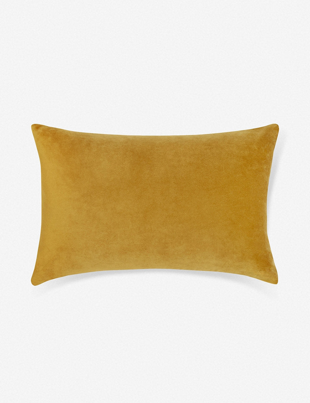 Charlotte Velvet Pillow