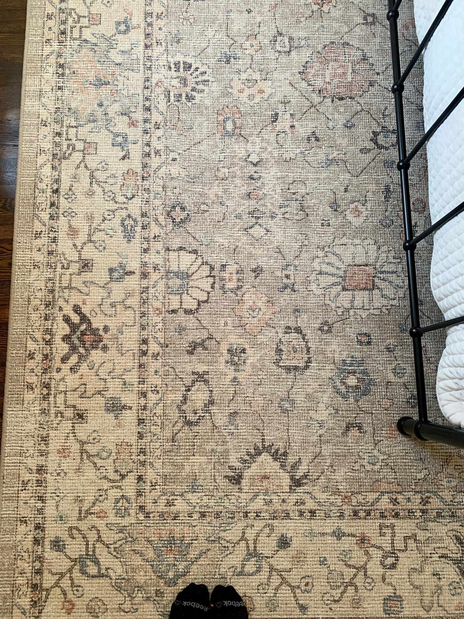 Bela Area Rug  Machine Woven  Medium Pile  Traditional Style