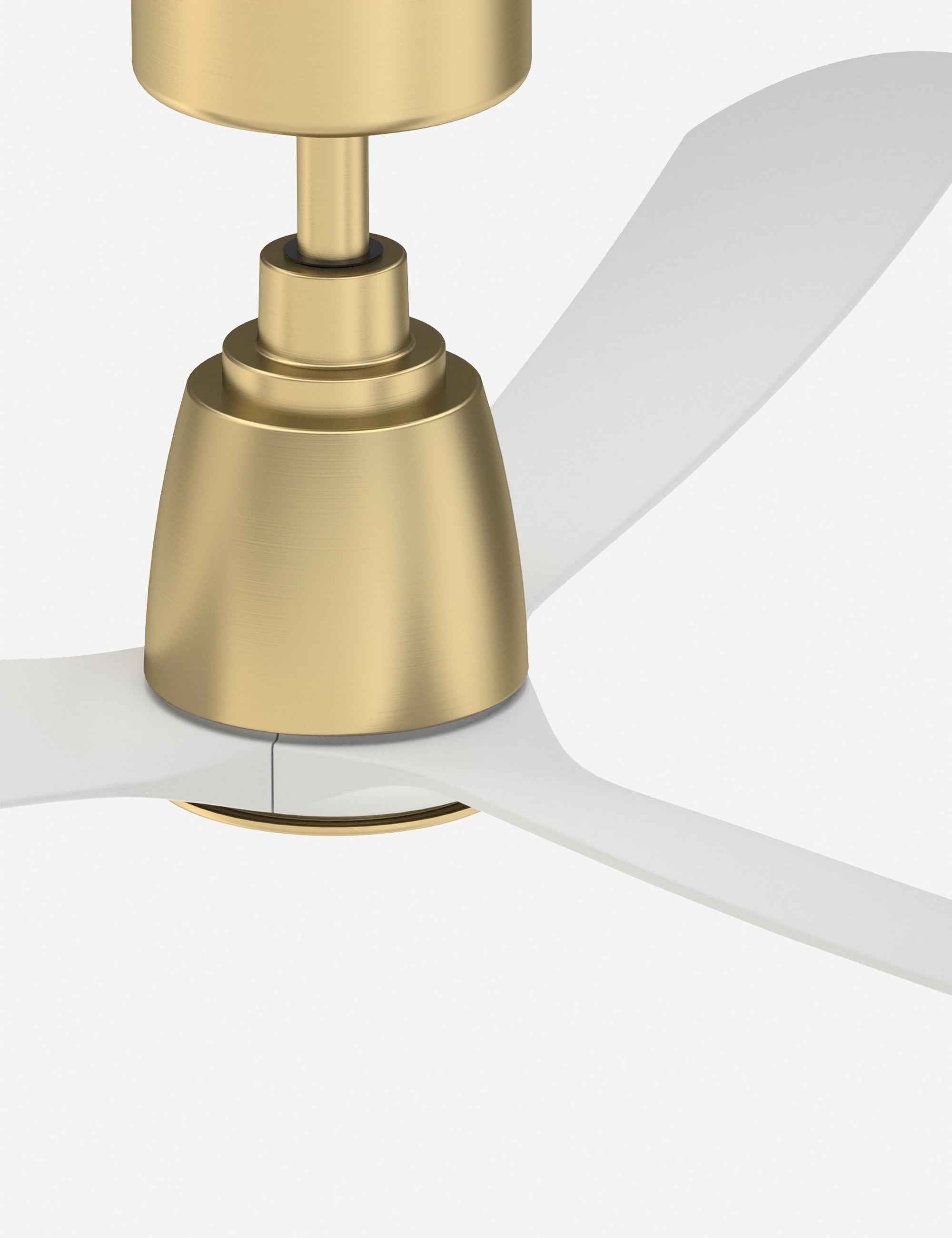 Cielo Ceiling Fan | Remote Control, Energy-Efficient