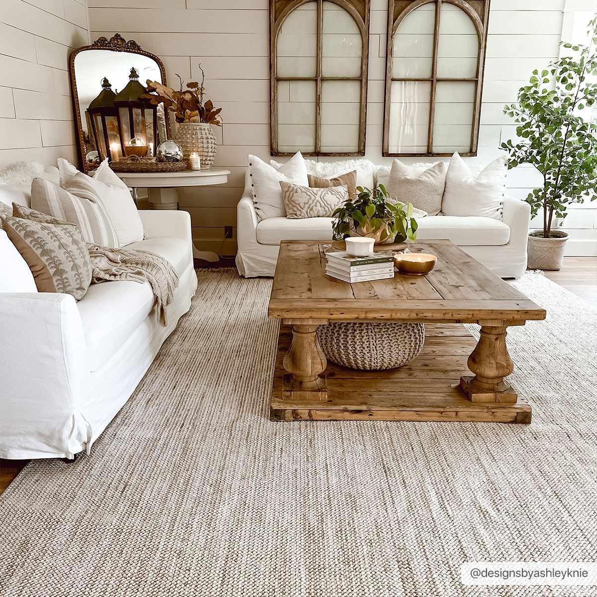 Bela Area Rug  Transitional  Low Pile  Machine Woven