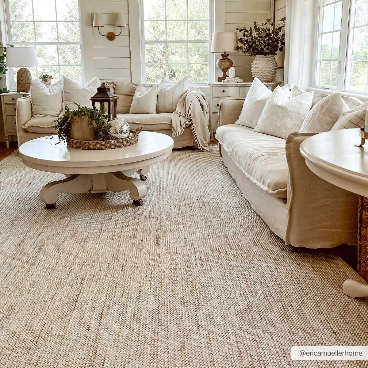 Bela Area Rug  Transitional  Low Pile  Machine Woven