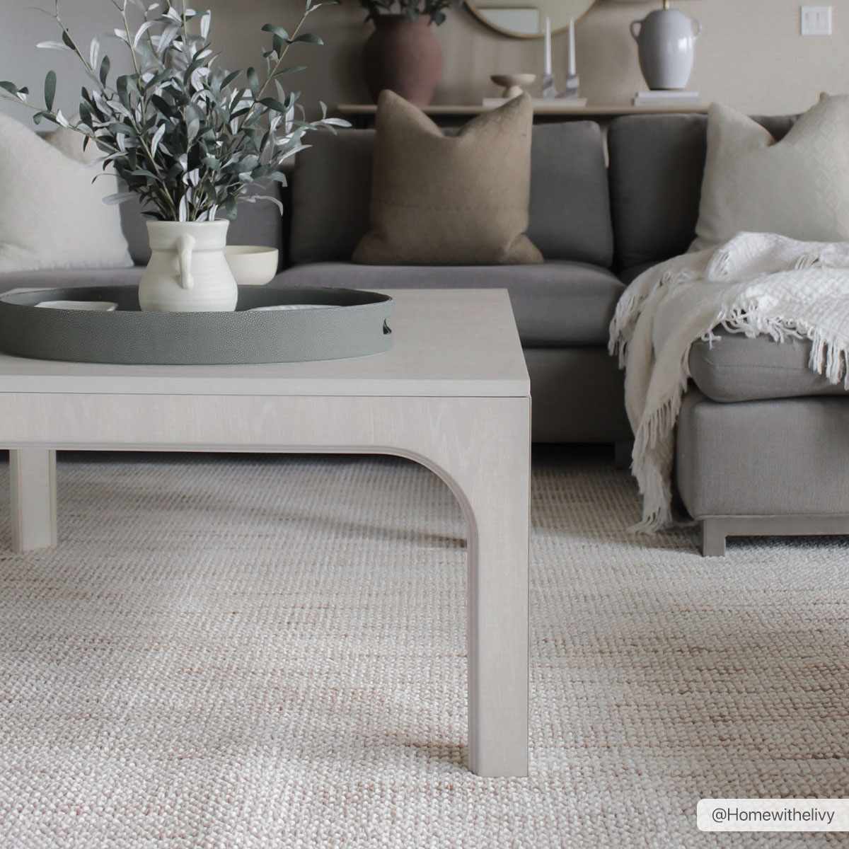Bela Area Rug  Transitional  Low Pile  Machine Woven