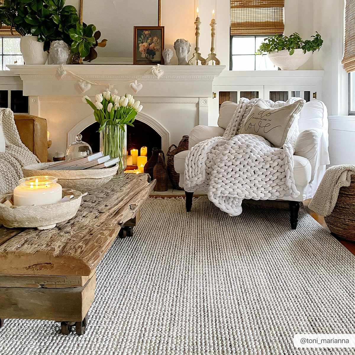 Bela Area Rug  Transitional  Low Pile  Machine Woven