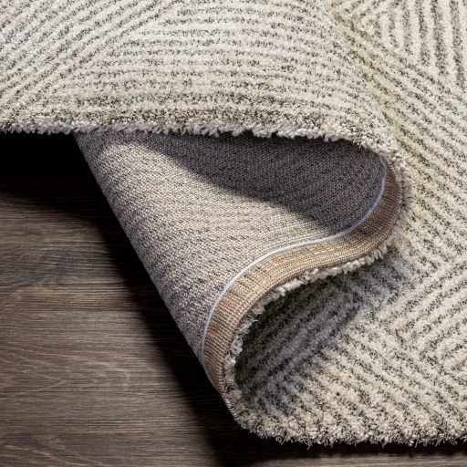 Haven Area Rug  High Pile  Machine Woven  Cream/Gray