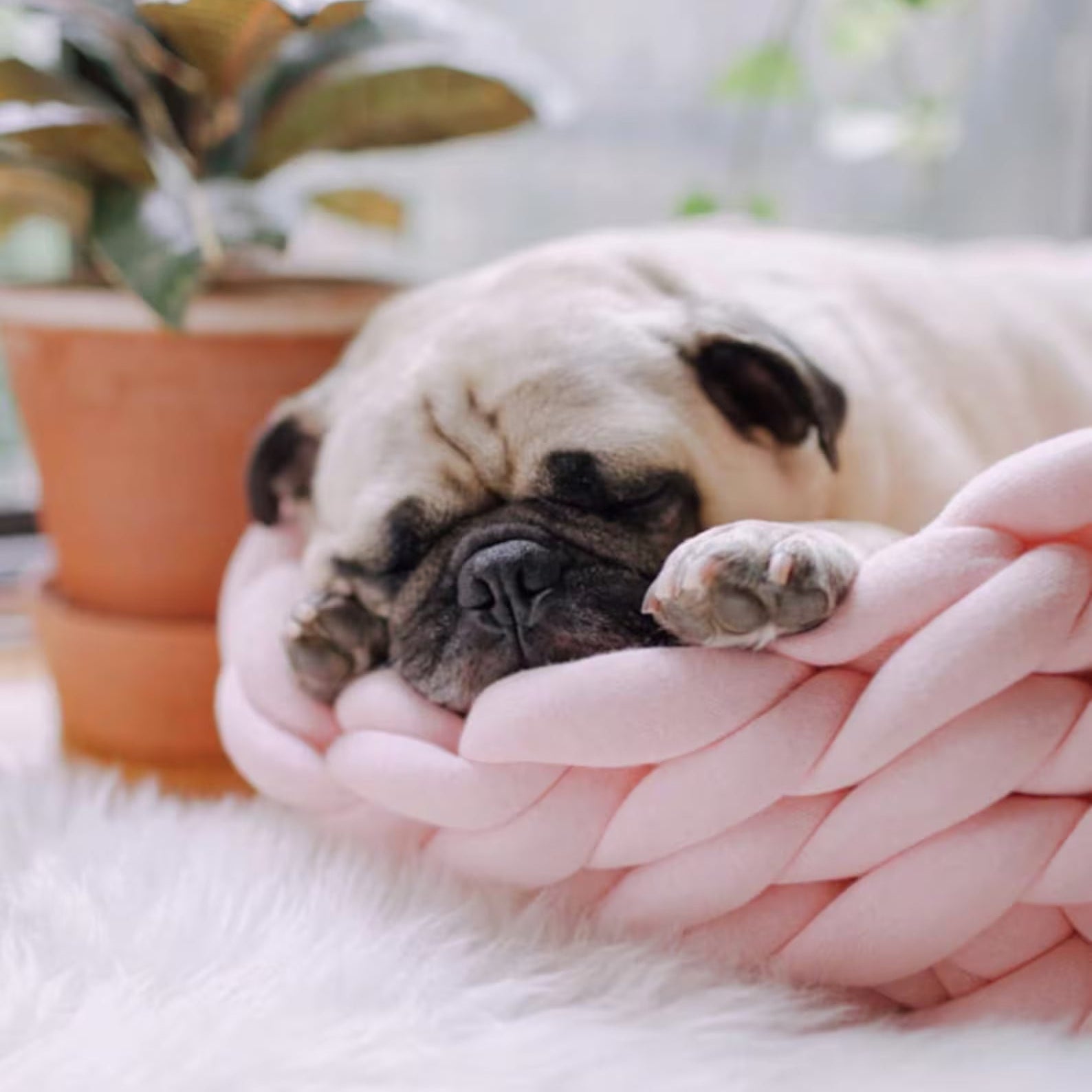 Bello Honden- & Kattenmand | 100% Natuurlijke Wol, Machinewasbaar