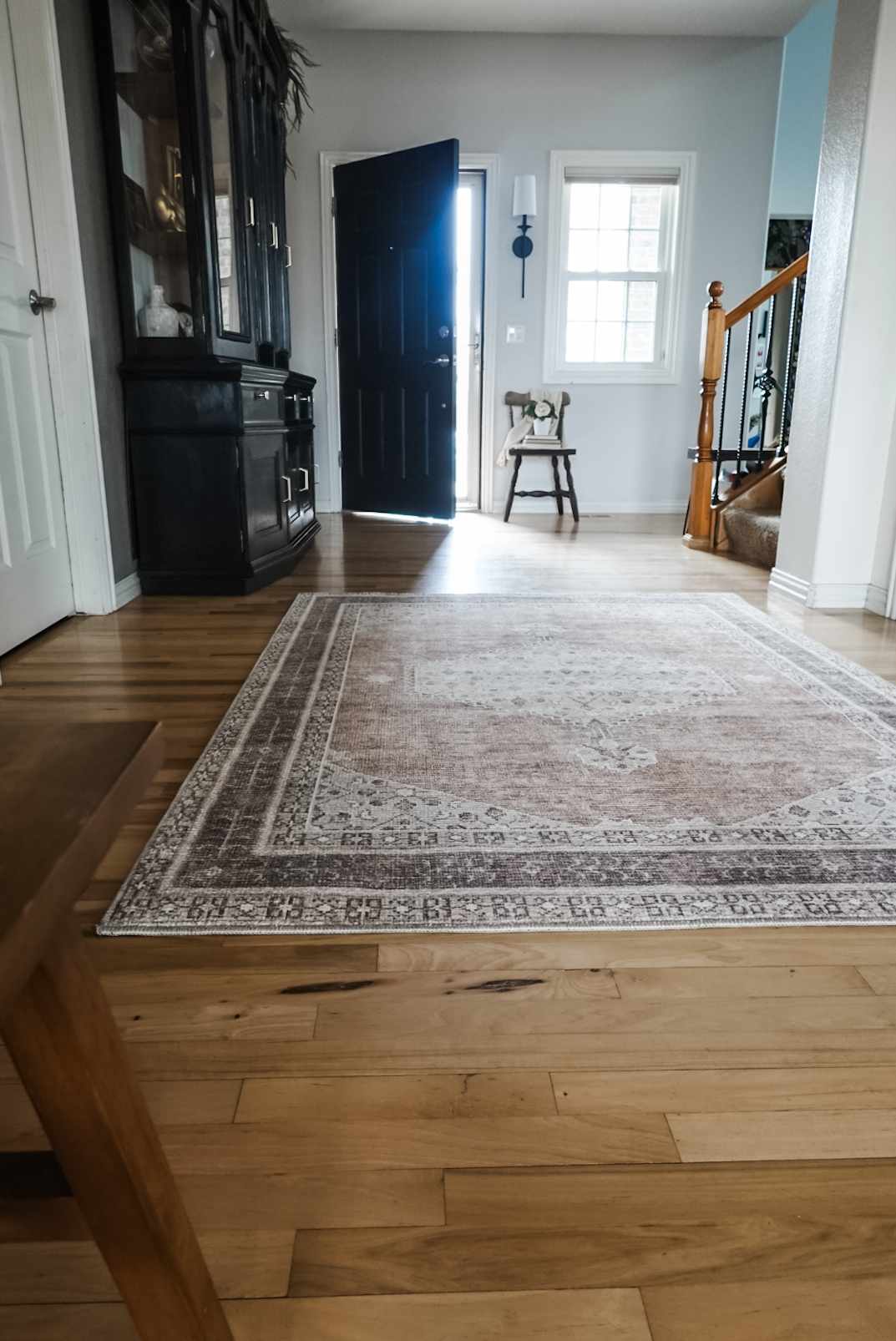 Lira Area Rug  Machine Woven  Terracotta Medallion Design