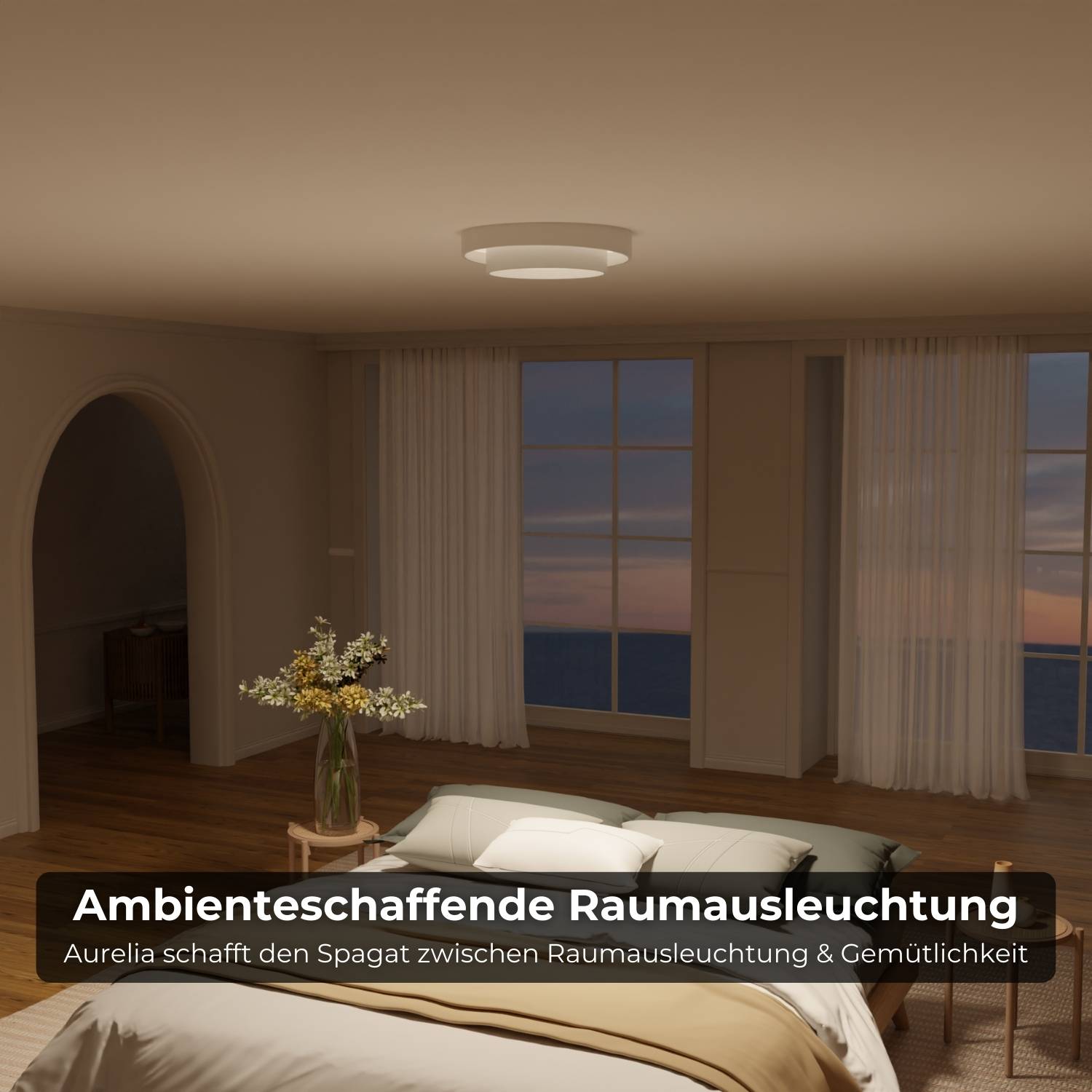 Brio Ceiling Light | Modern Design, Energy Efficient