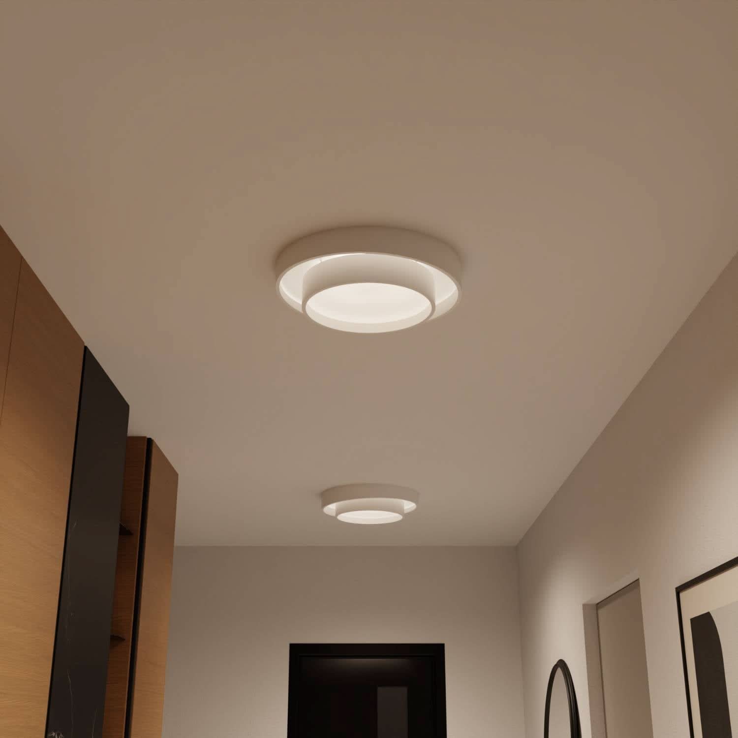Brio Ceiling Light | Modern Design, Energy Efficient
