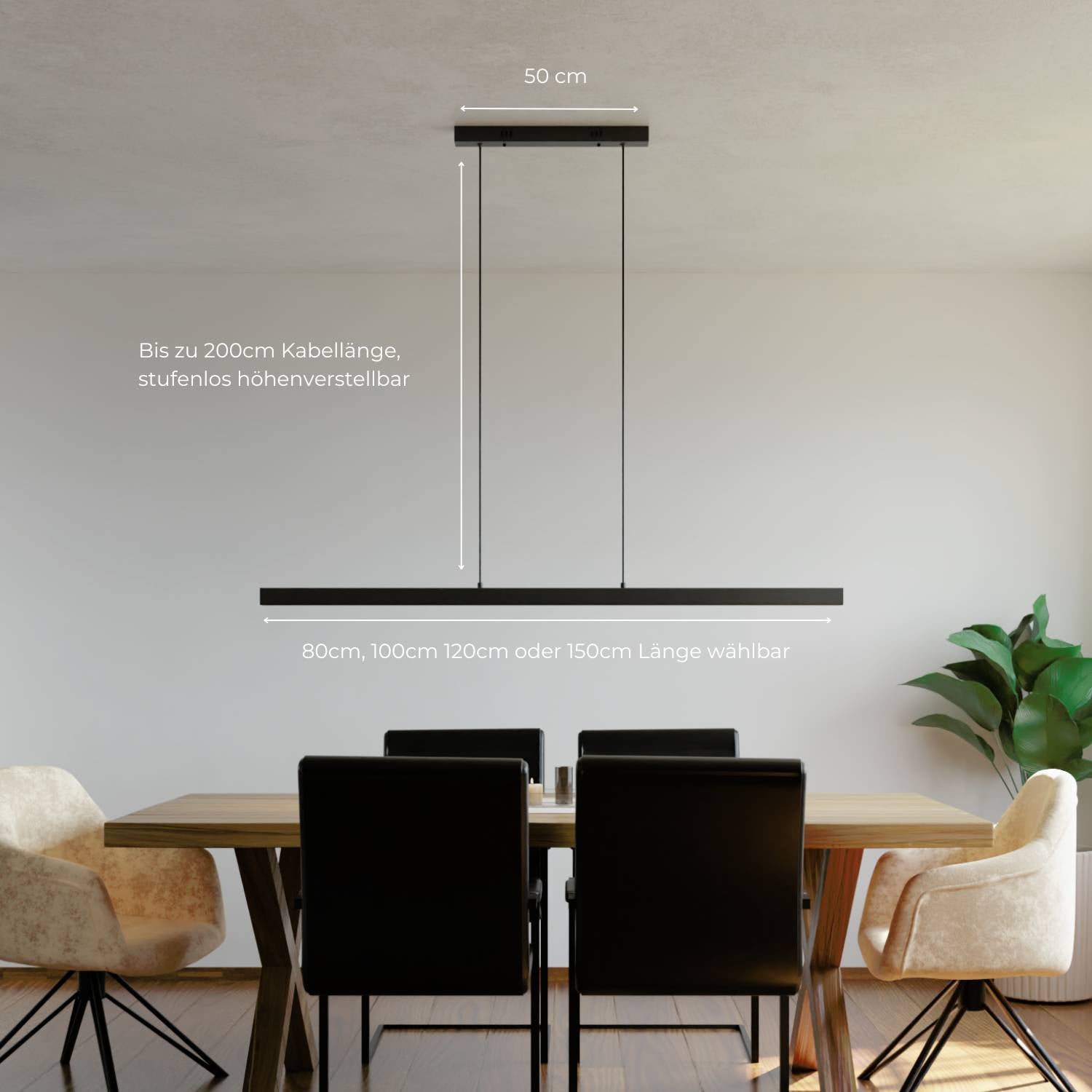 Cielo Pendant Light | Modern Design, Timeless Elegance