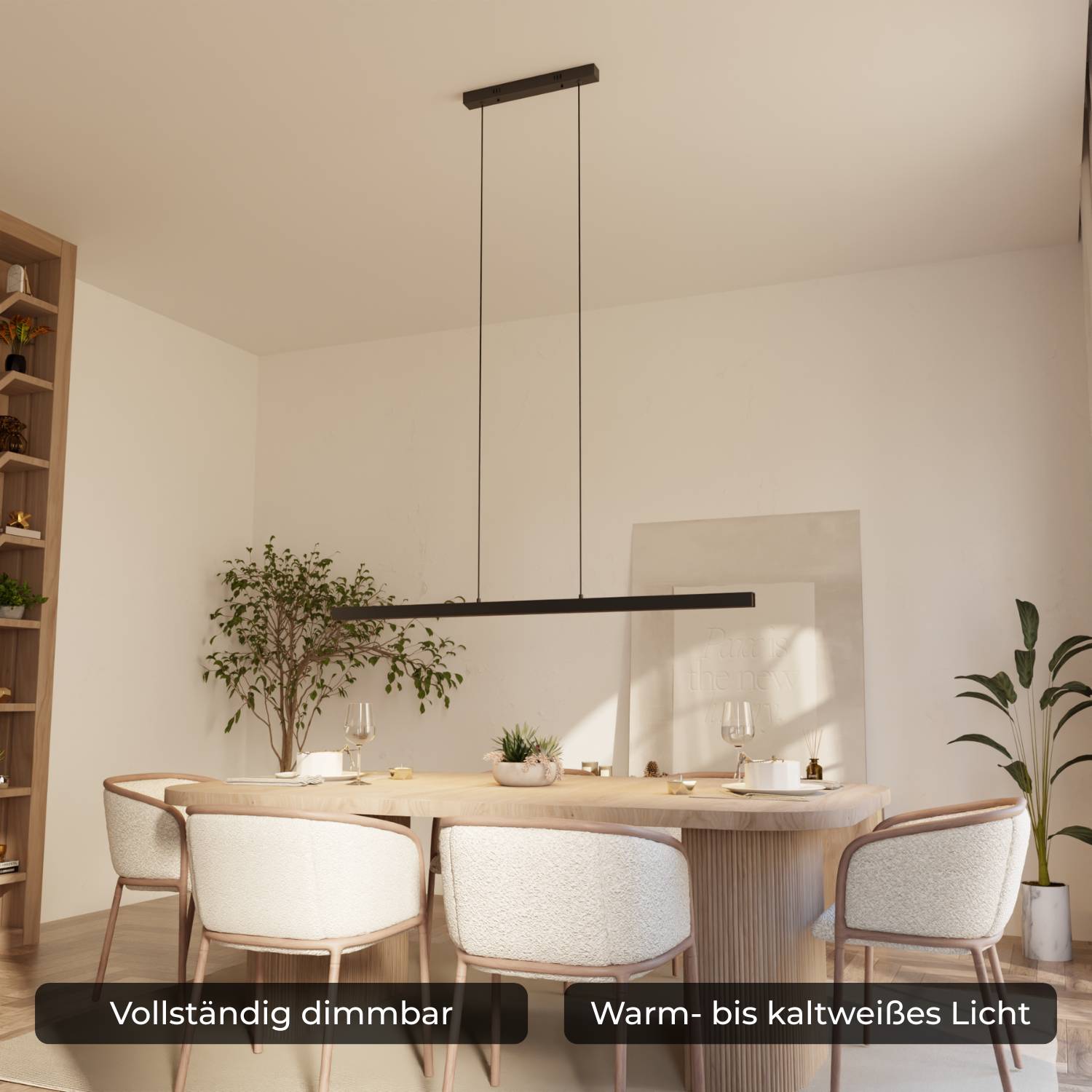 Cielo Pendant Light | Modern Design, Timeless Elegance