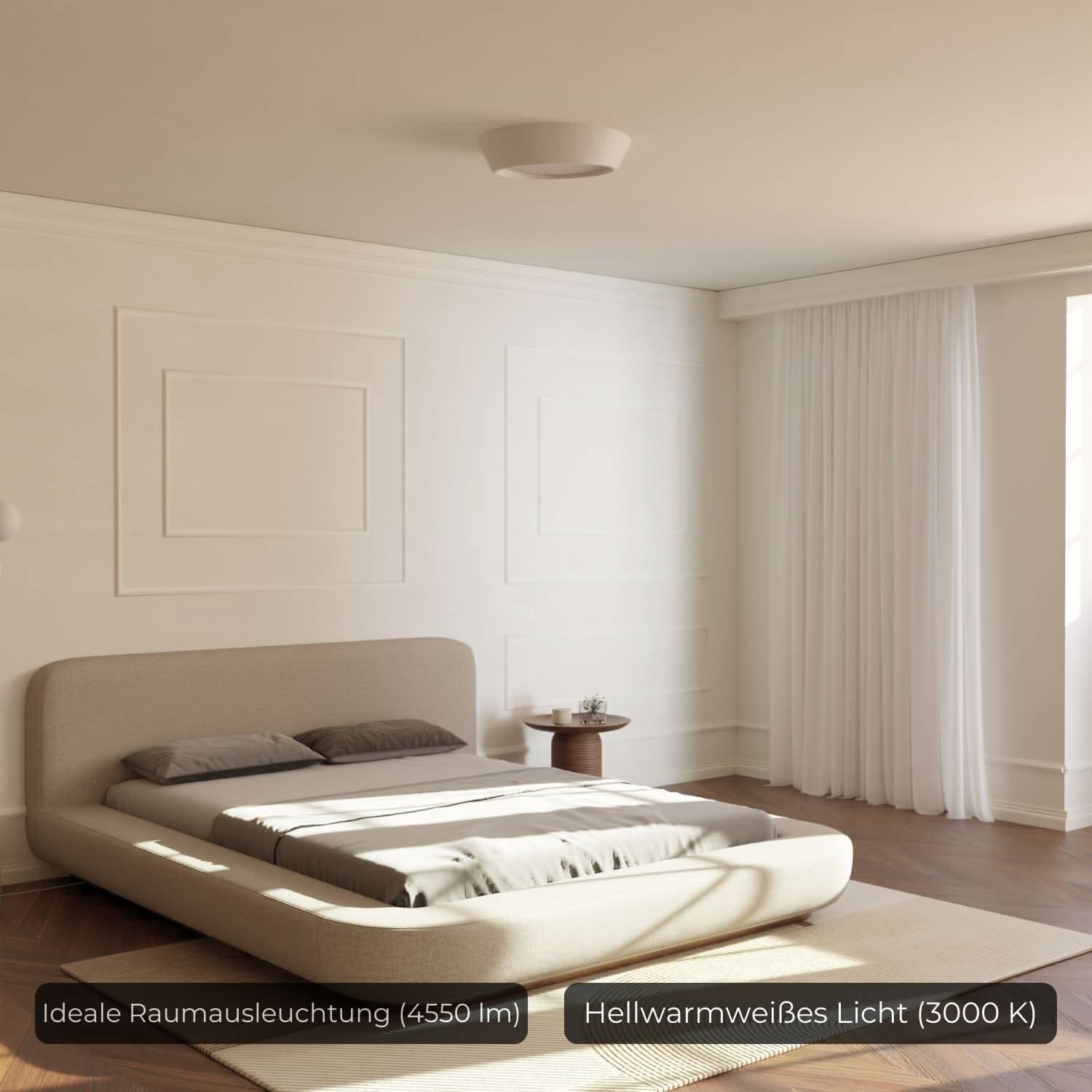 Bela Ceiling Light | Modern Design, Energy Efficient