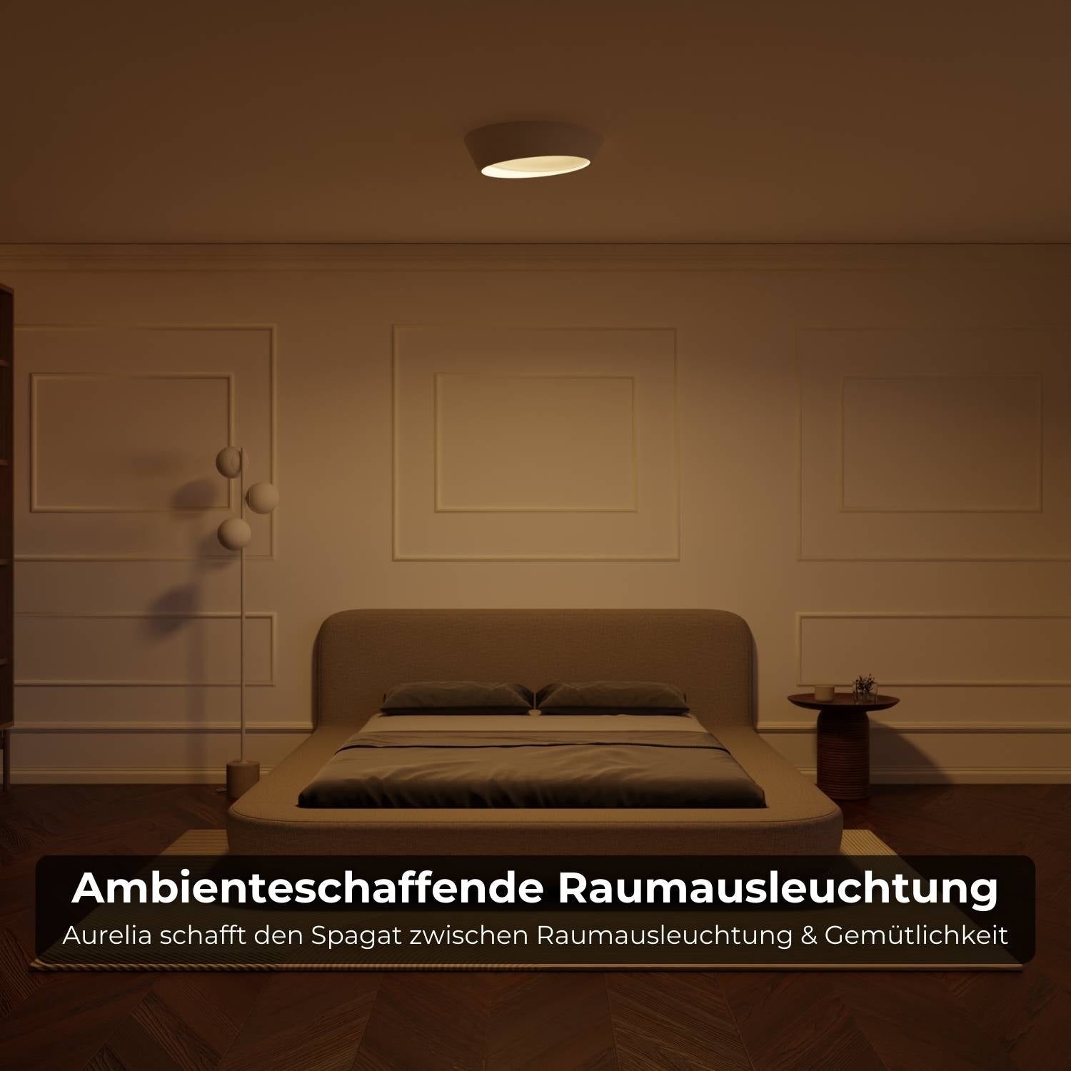 Celestia Ceiling Light | Striking Design, Enhances Space