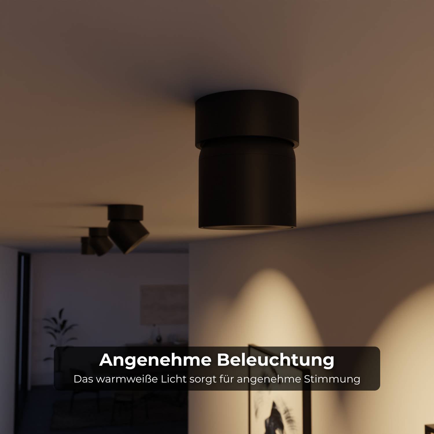 Esol Adjustable Ceiling Light | 350° Rotating Head, Warm White 2700K
