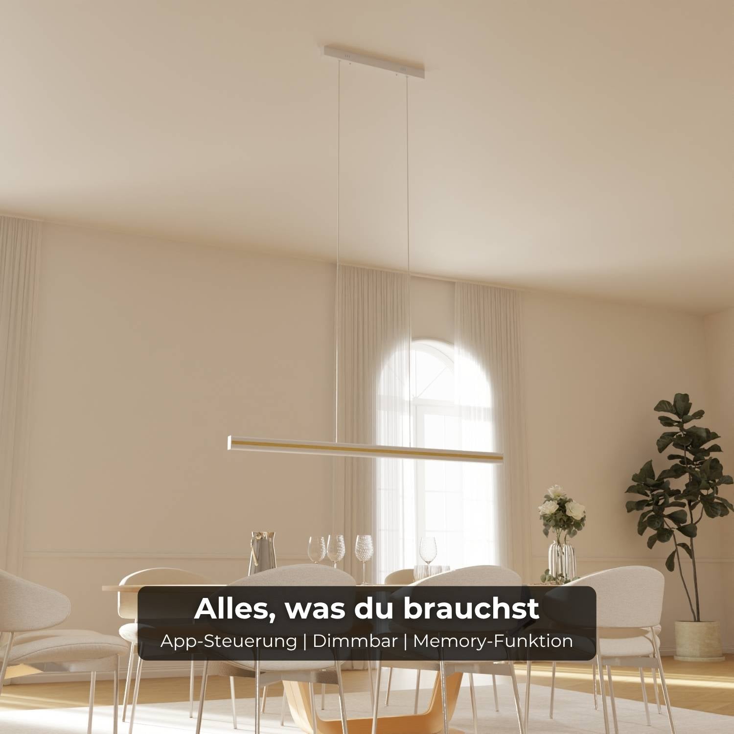 Kaleo Pendant Light | Modern Design, DALI-2 DT8 Technology