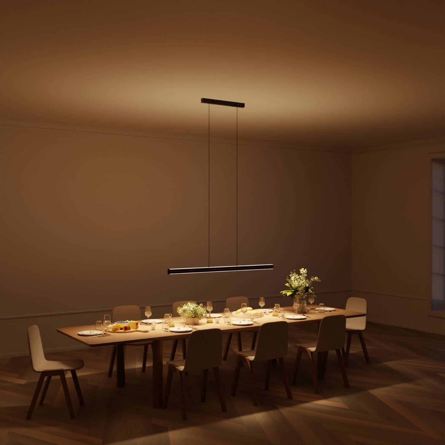 Bela Pendant Light | DALI-2 DT8 Design