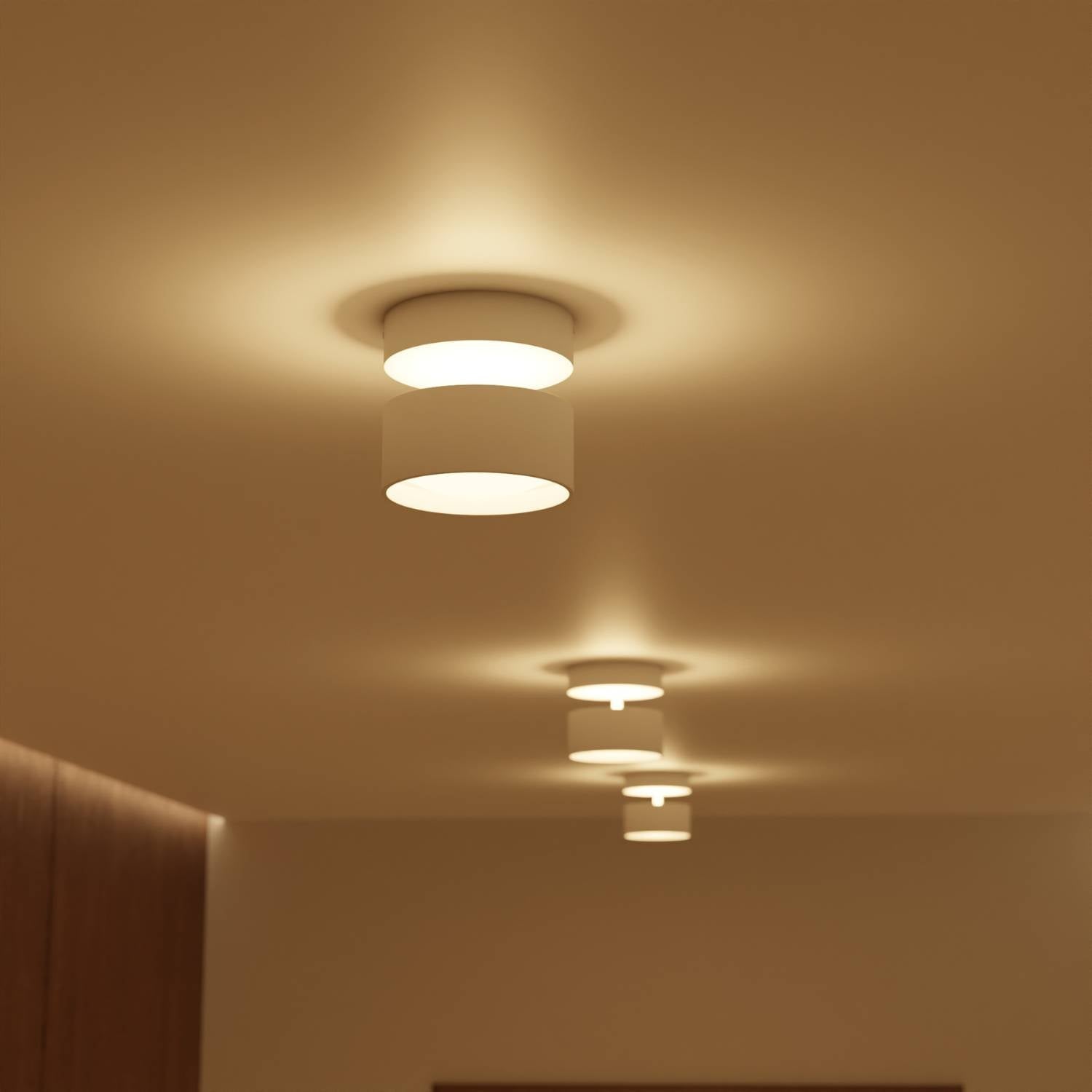 Bela Ceiling Light | Modern Cylindrical Design, Up-Down Illumination