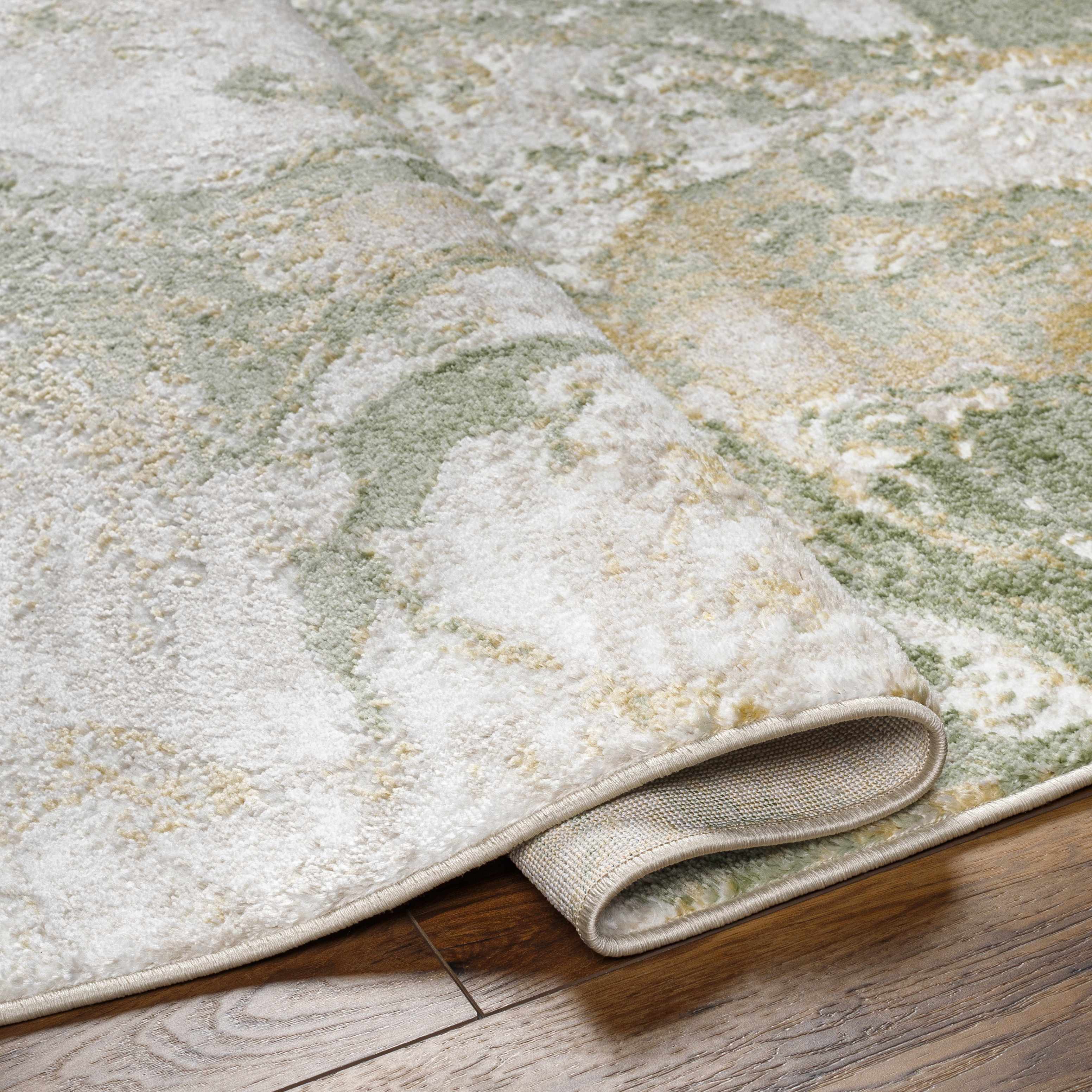 Livia Area Rug Contemporary 100% Polypropylene Medium Pile