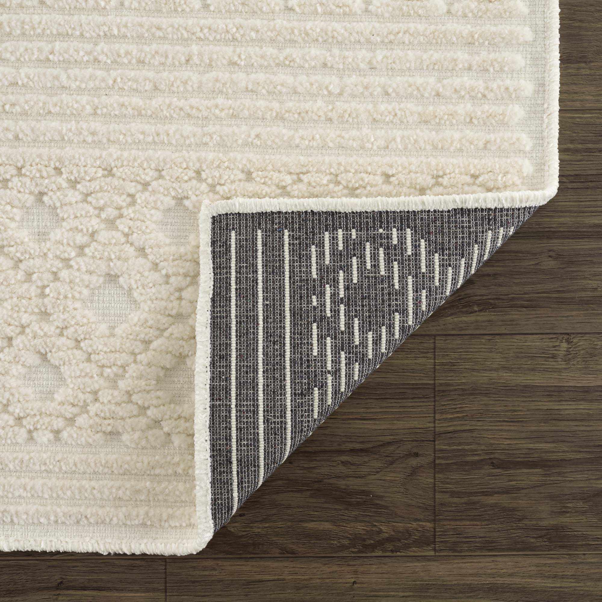 Dario Area Rug  Machine Washable, Medium Pile, Transitional Style