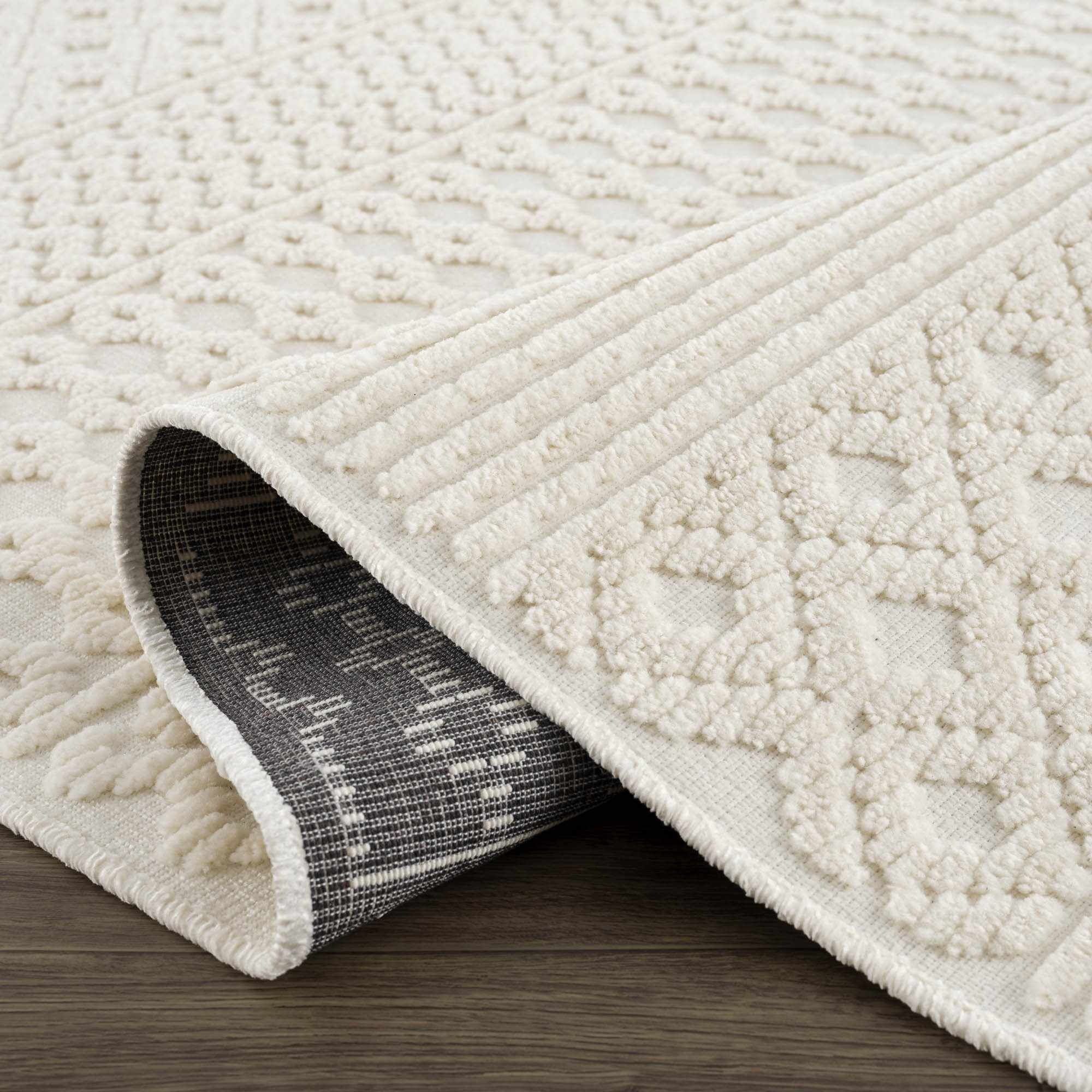 Dario Area Rug  Machine Washable, Medium Pile, Transitional Style