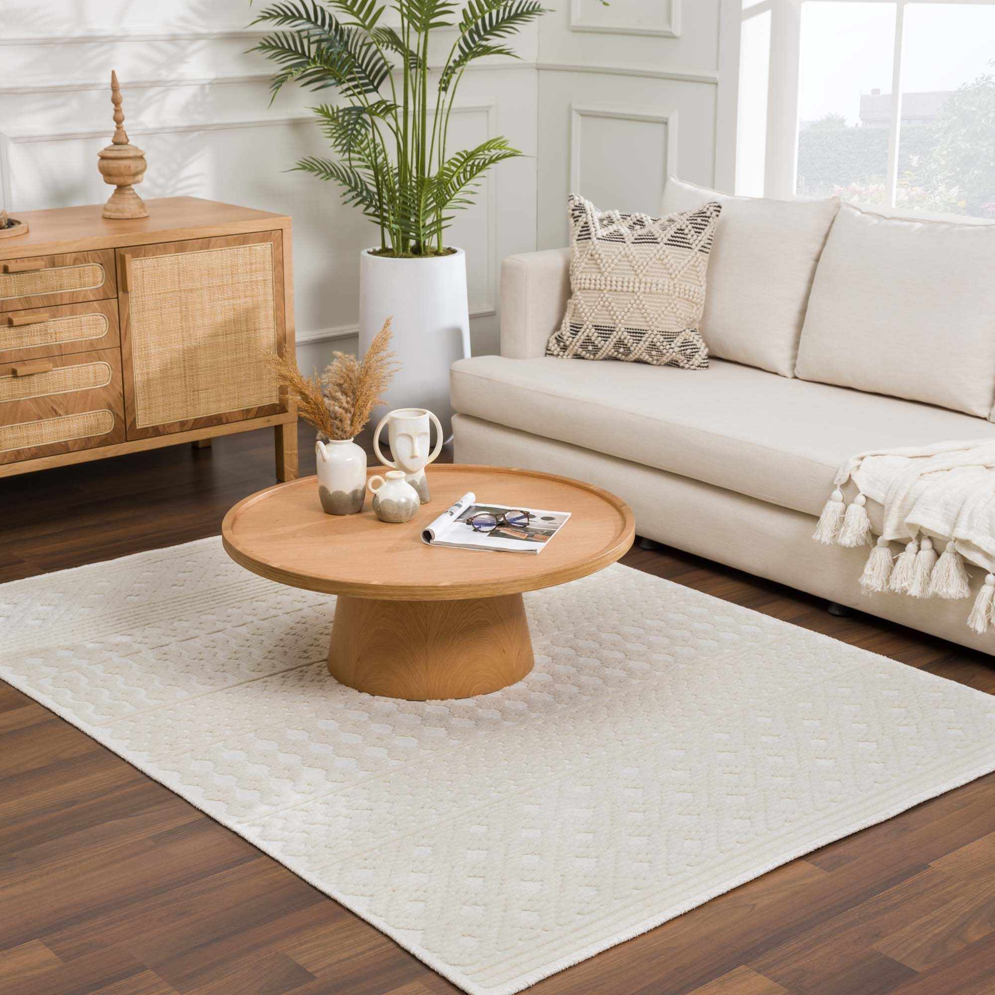 Dario Area Rug  Machine Washable, Medium Pile, Transitional Style