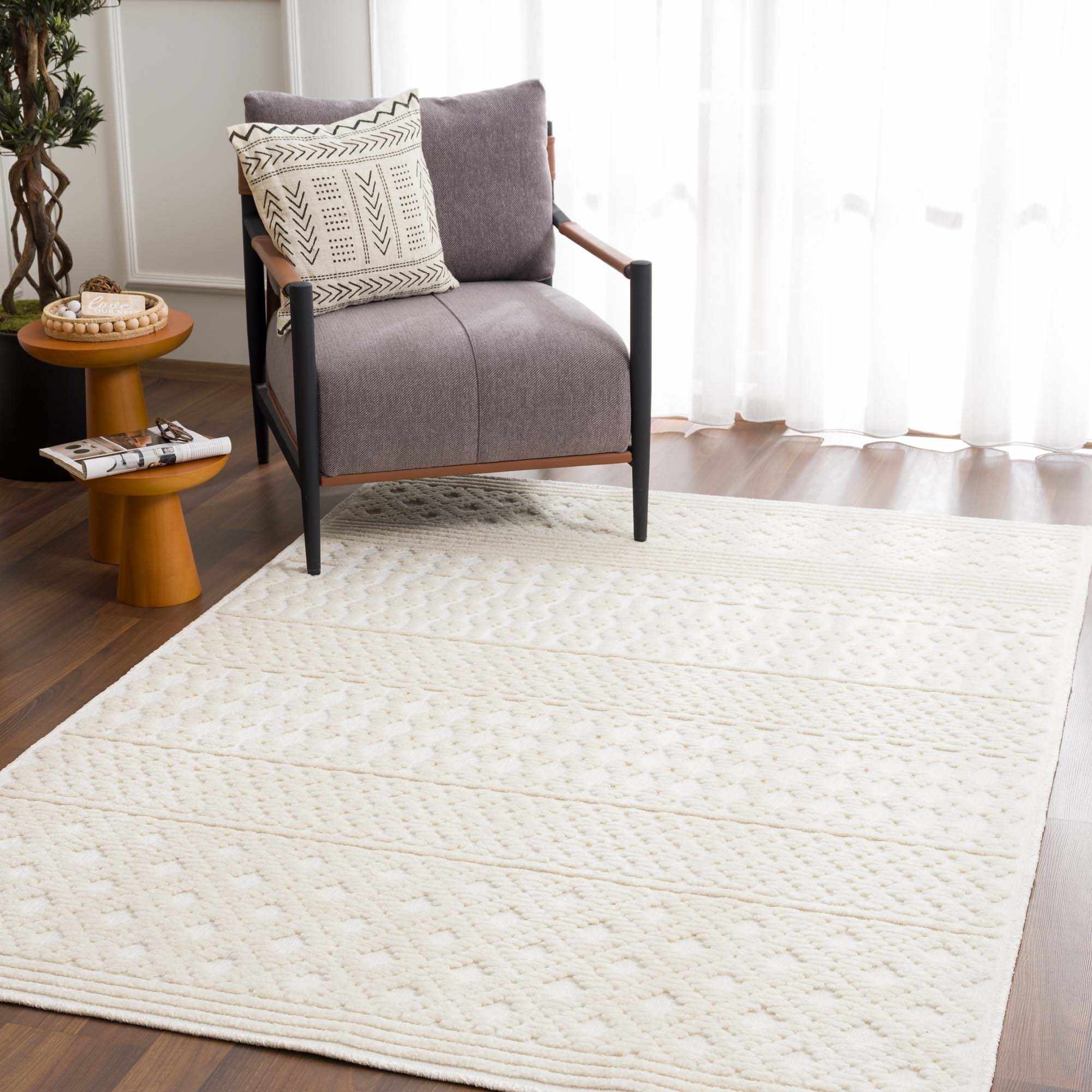 Dario Area Rug  Machine Washable, Medium Pile, Transitional Style