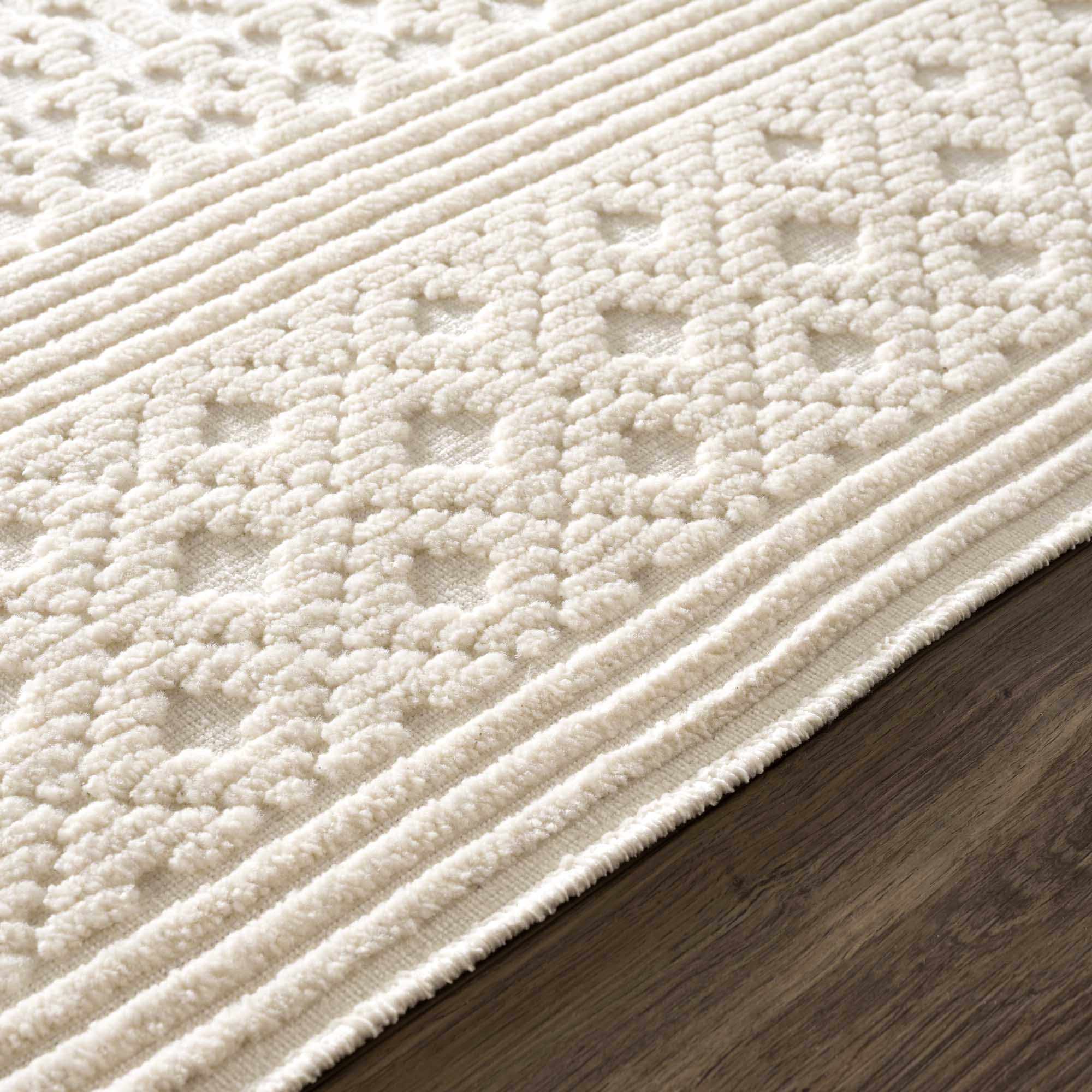 Dario Area Rug  Machine Washable, Medium Pile, Transitional Style