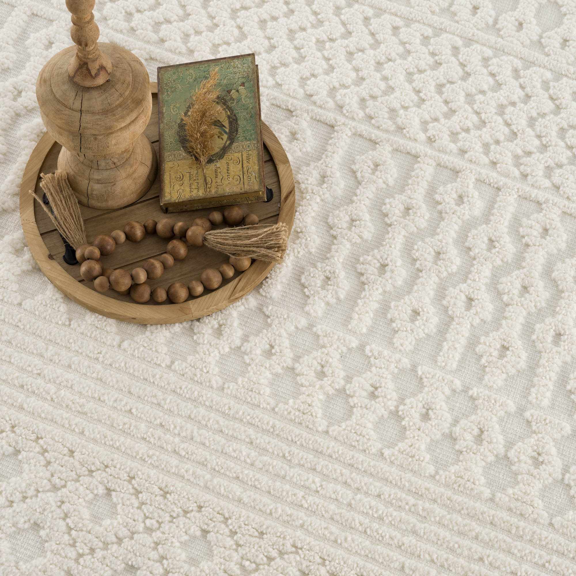 Dario Area Rug  Machine Washable, Medium Pile, Transitional Style