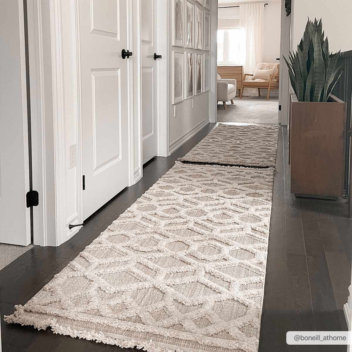 Mira Malilinao Area Rug  Machine Woven, High Pile Polyester