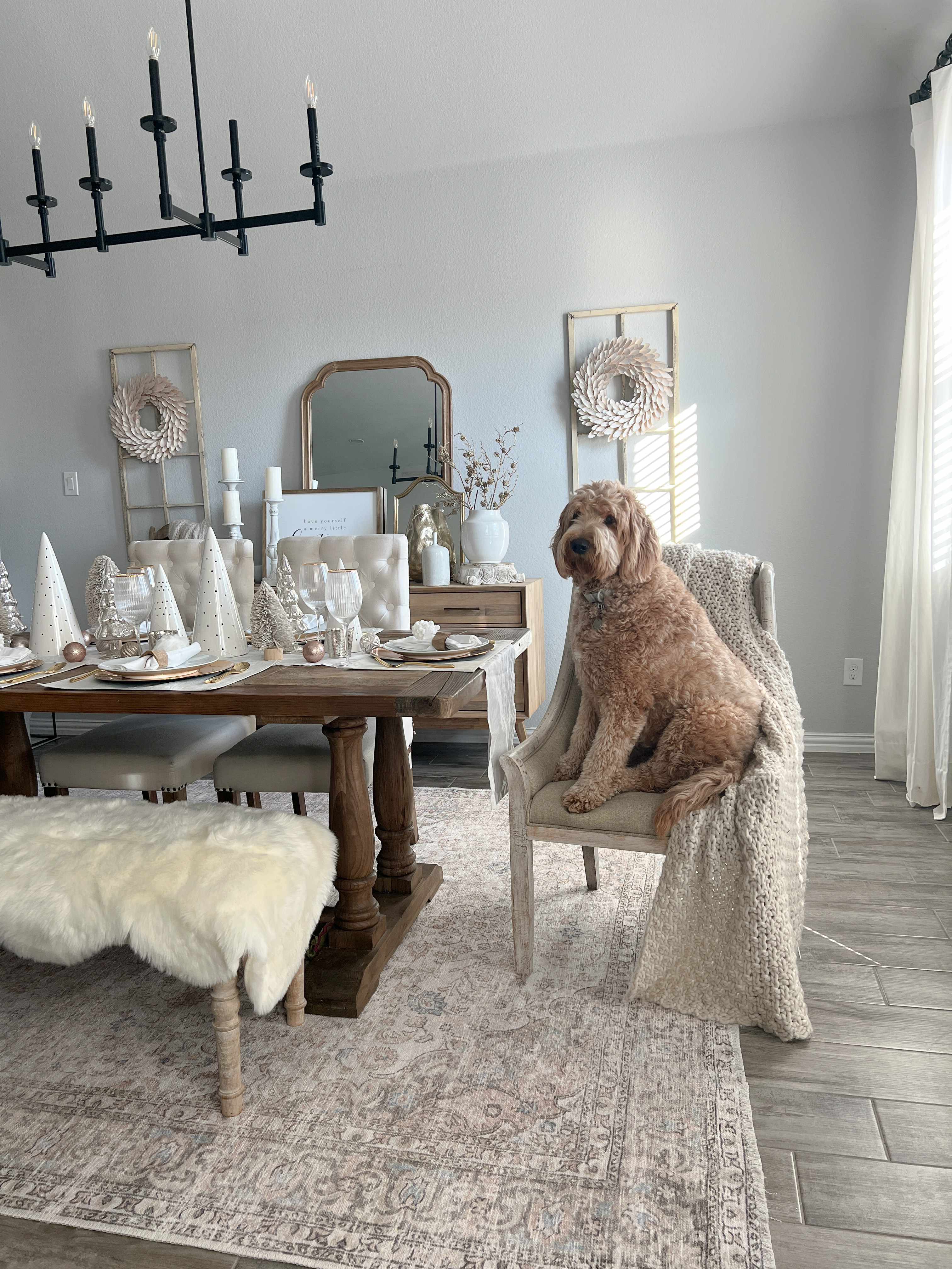 Bela Washable Area Rug  Durable Polyester, Stain-Resistant