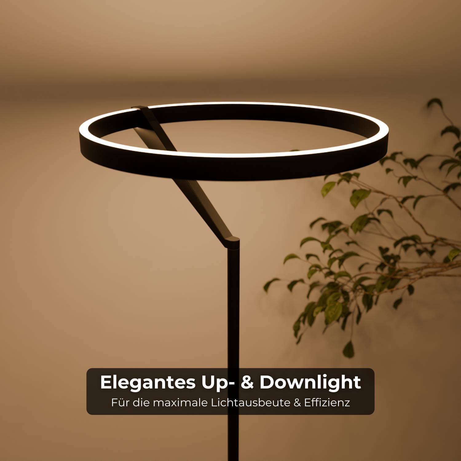 Bela Floor Lamp | Dimmable, Adjustable Color Temperature