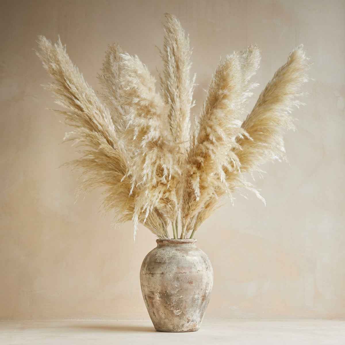 Bela Dried Pampas Grass Bouquet | 10 XL Stems, Natural Elegance