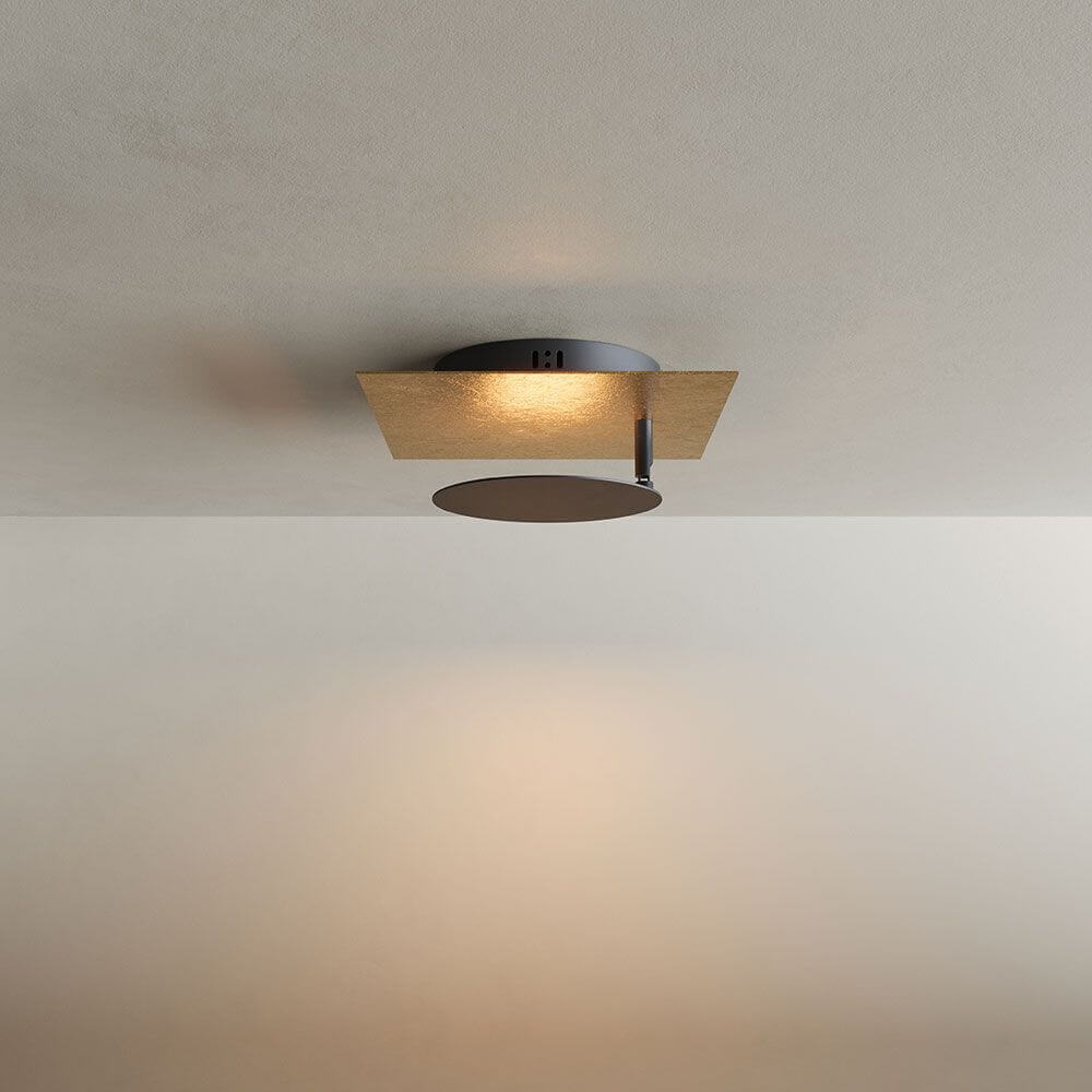 Bela LED Wall & Ceiling Lamp | Adjustable Light Head, Slim Design