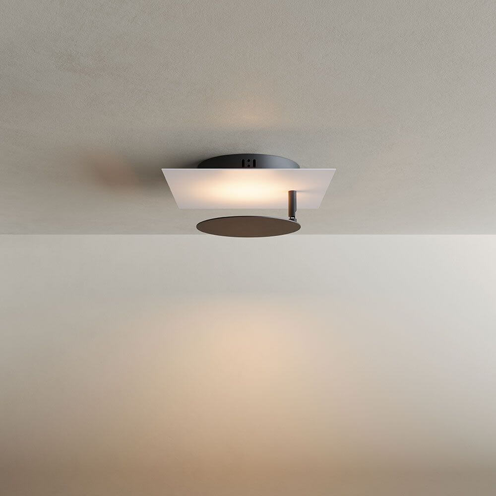Bela LED Wall & Ceiling Lamp | Adjustable Light Head, Slim Design
