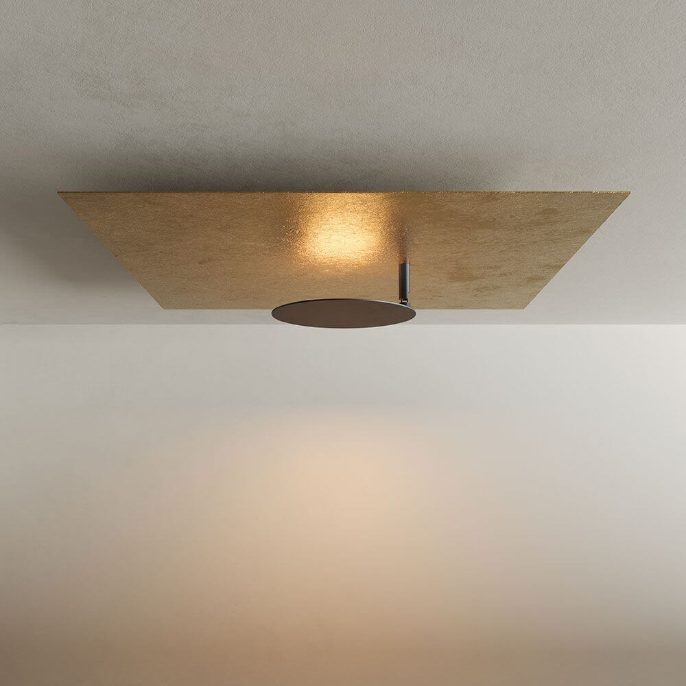 Bela LED Wall & Ceiling Lamp | Adjustable Light Head, Slim Design