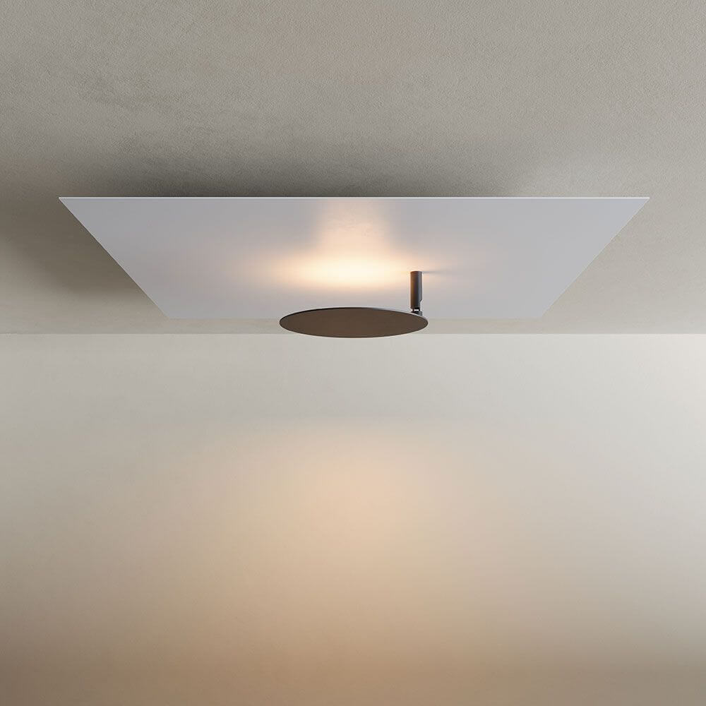 Bela LED Wall & Ceiling Lamp | Adjustable Light Head, Slim Design