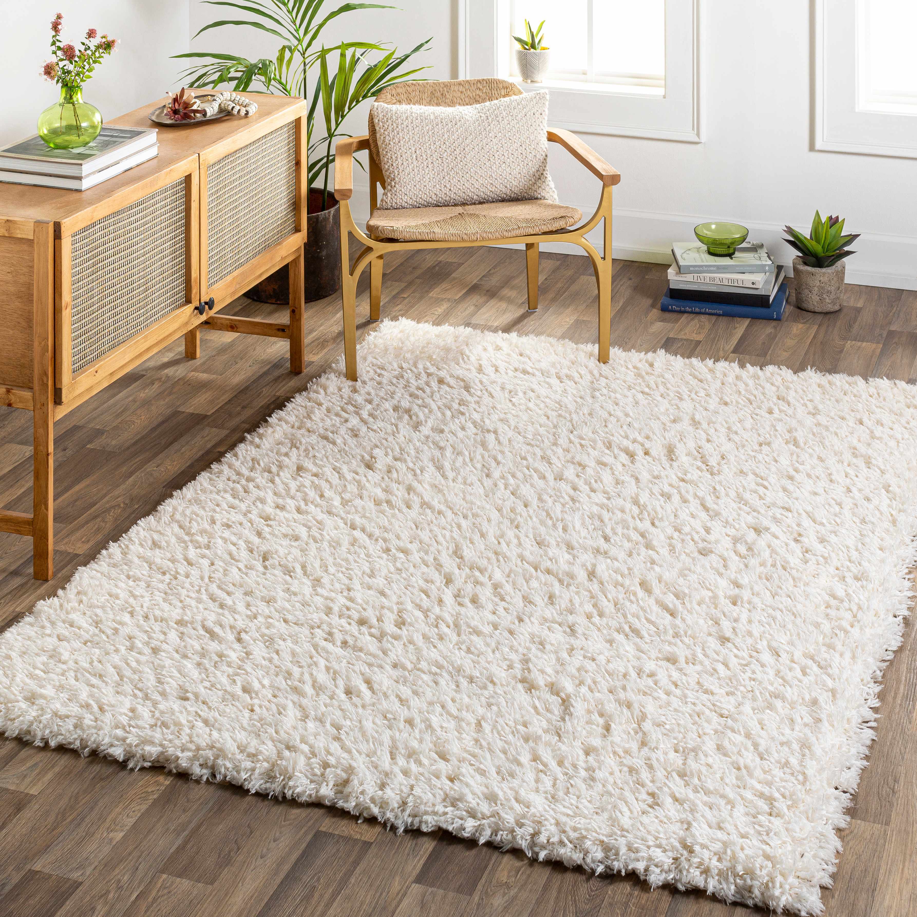 Sierra Plush Rug  Machine Woven  Cream  Contemporary Style